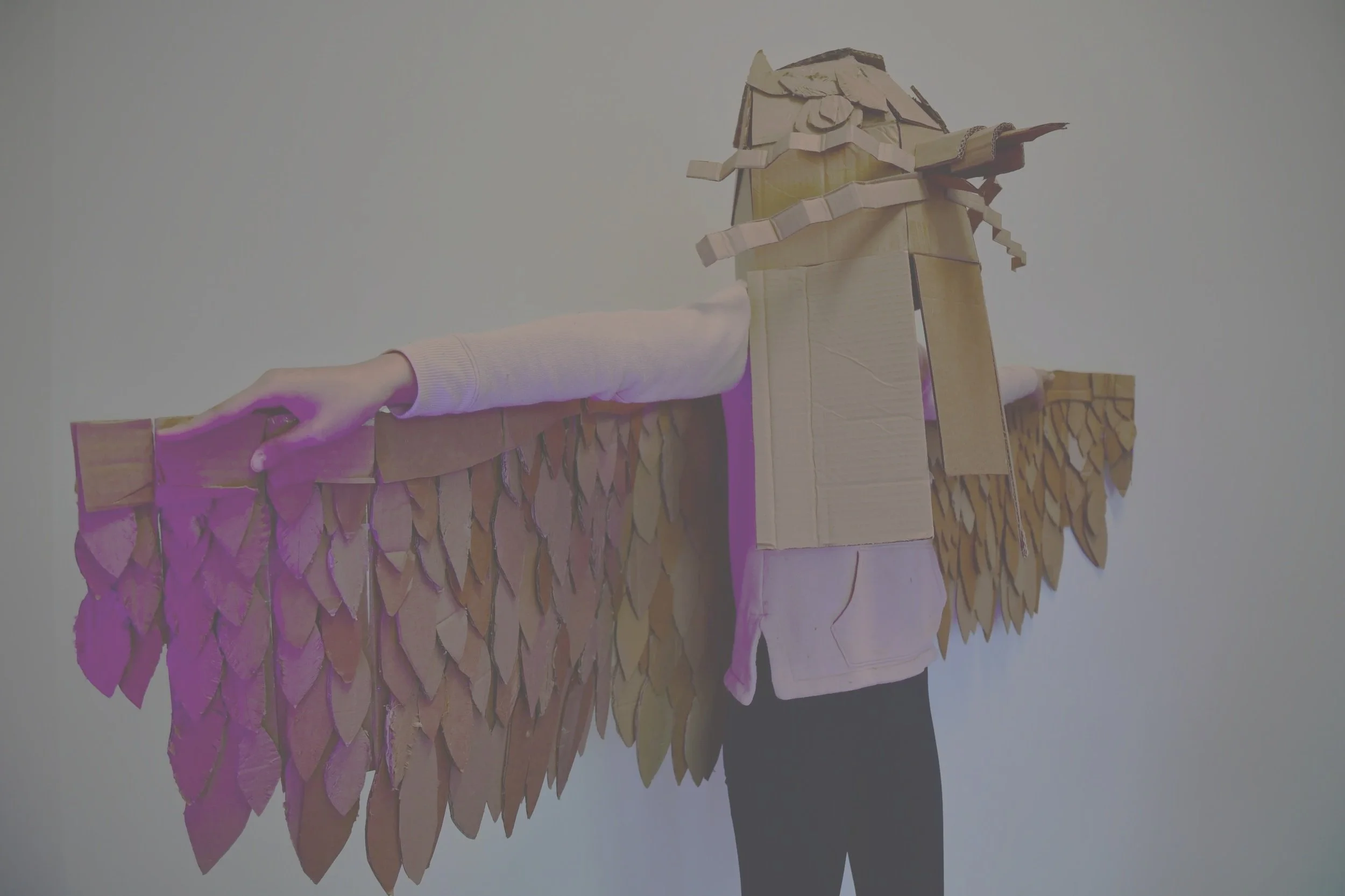 Constructed Creatures