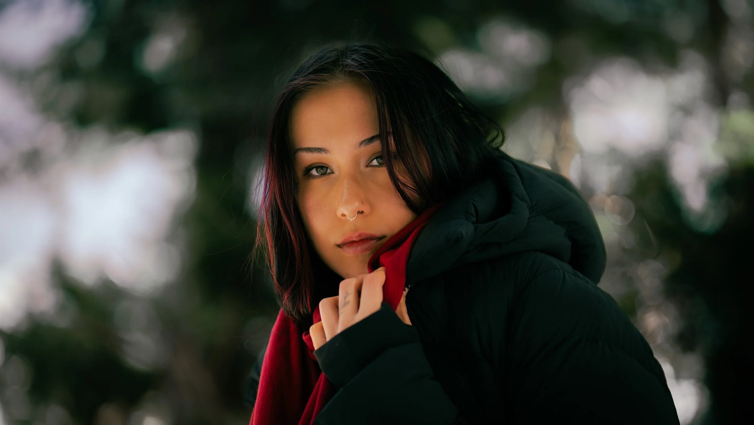 AR508689.jpg