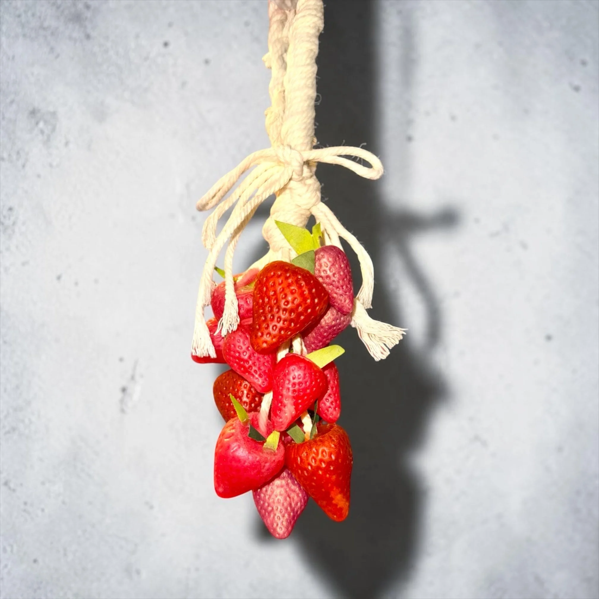 Hanging Sink Strawberry Soap