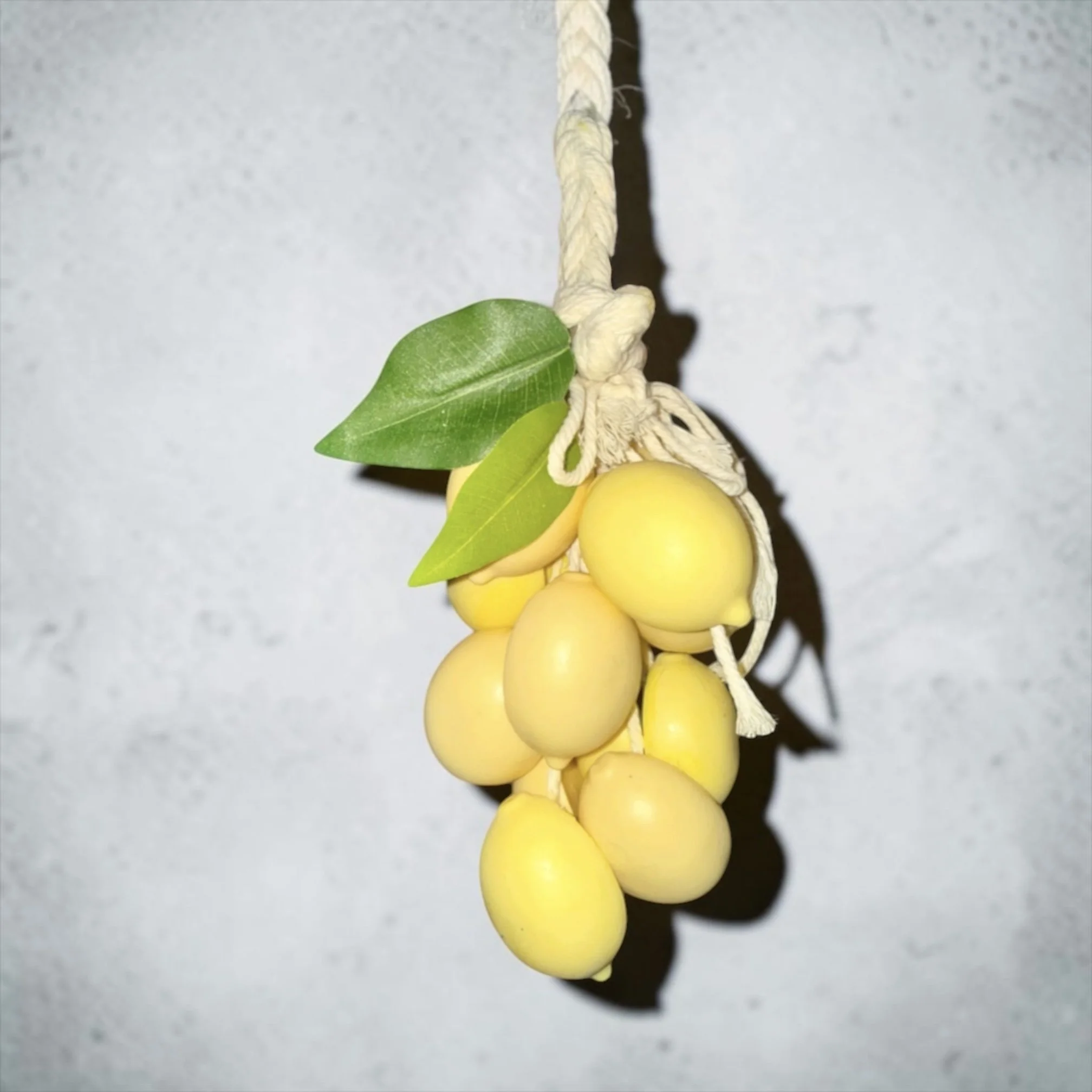 Hanging Lemon Hand Soap