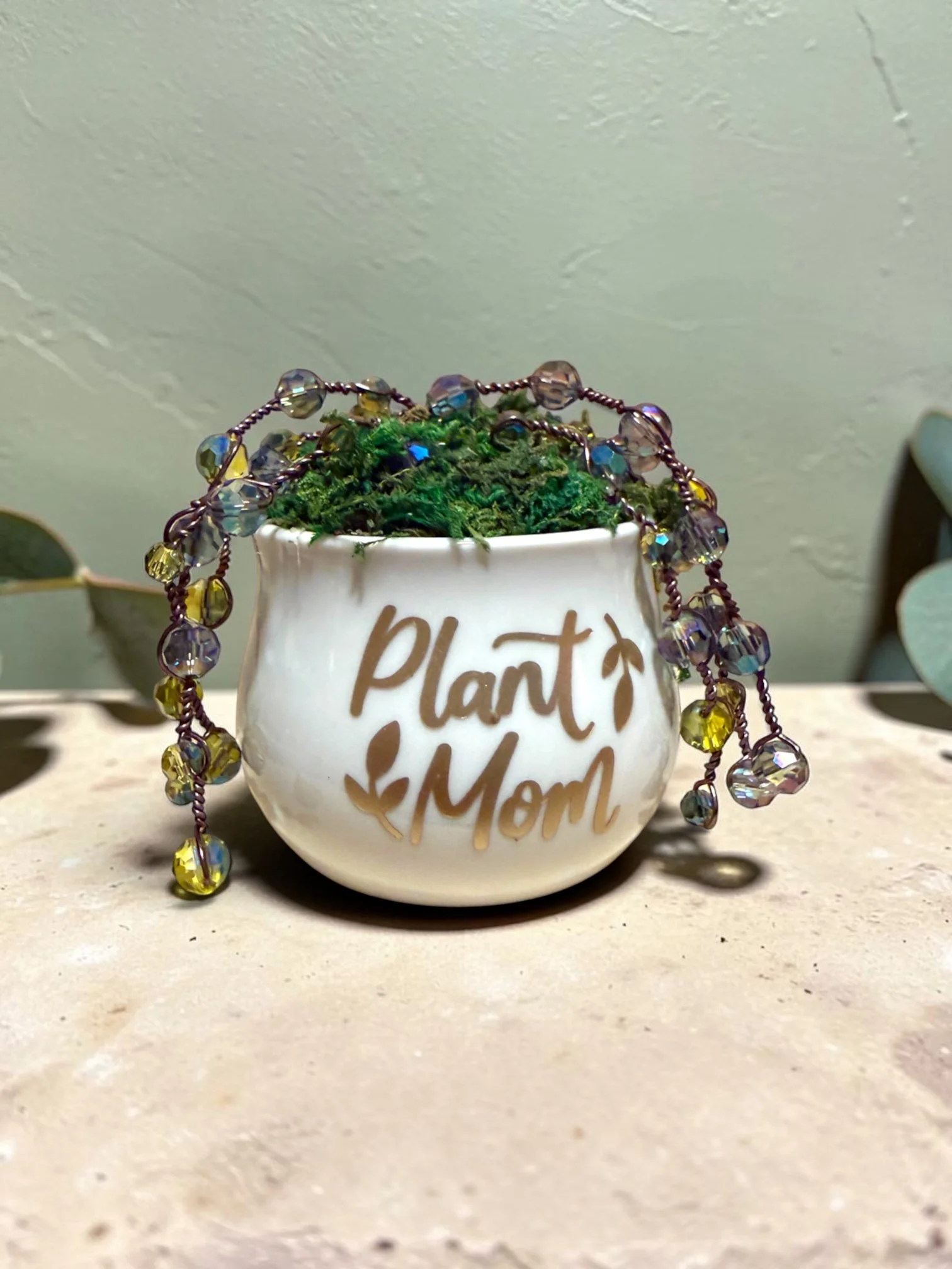 Plant Mom