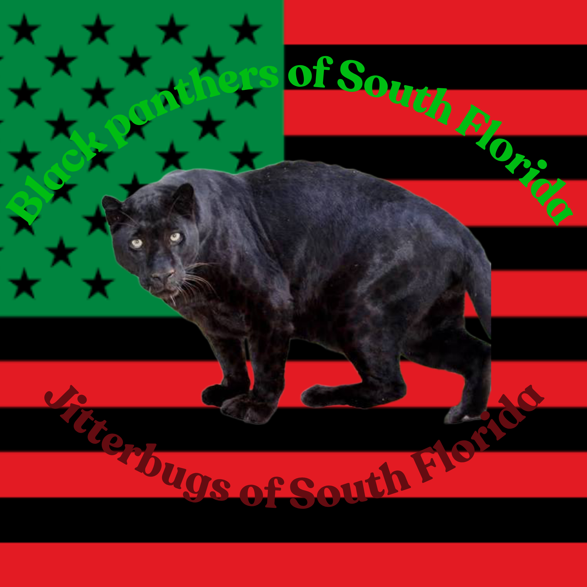 A black panther lying against a background of the American flag with a green stripe and black stars. The image has overlay text in green that reads 'Black Panthers of South Florida'.
