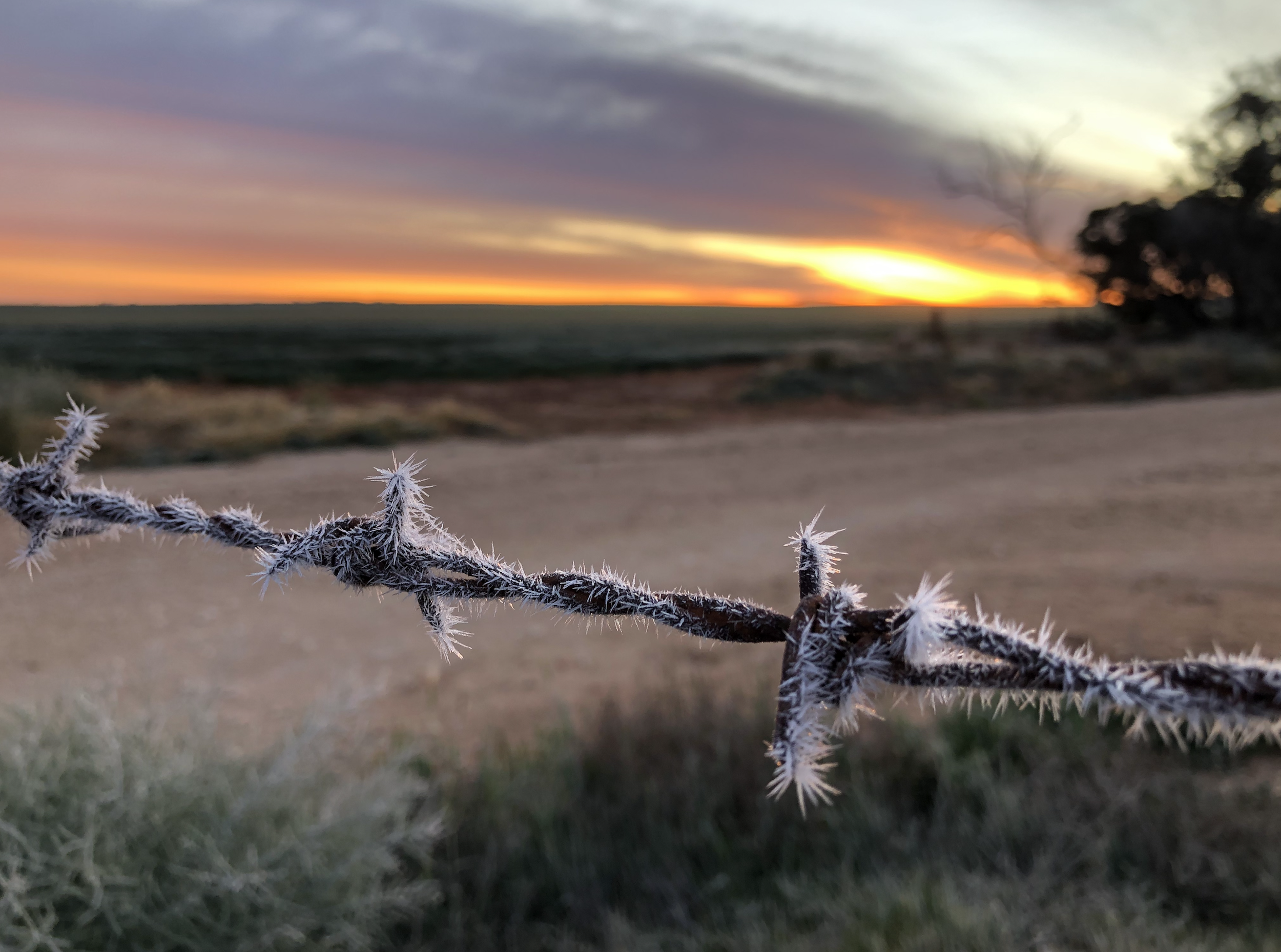 Screenshot 2026-08-17 at 9.34.20 pm.png