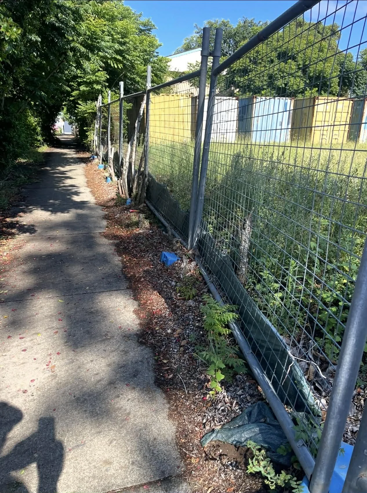 Sidewalk with a chain-link fence on the right, overgrown vegetation, and trees on the left under a clear blue sky.