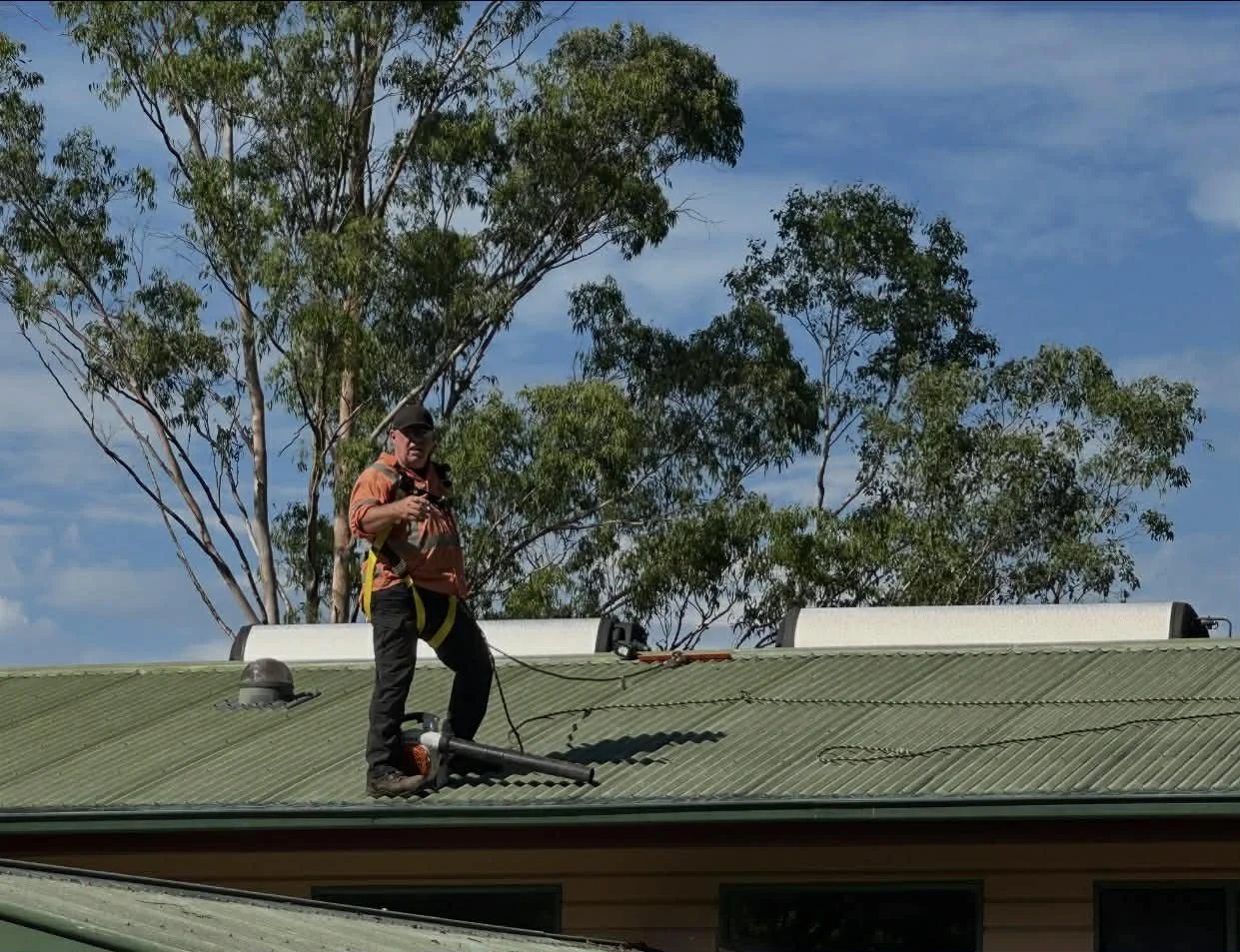 A man on a green roof with a leaf blower, trees in the background, under a blue sky with clouds.