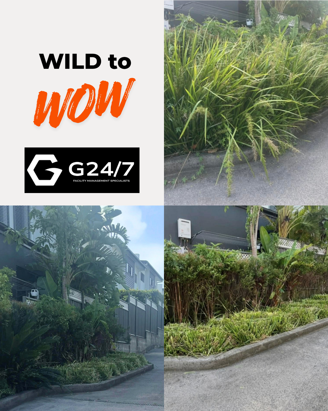 A promotional image for G24/7 Facility Management Specialists featuring the slogan "WILD to WOW," with three photos of unmanaged, overgrown lawn and garden areas next to a sidewalk and residential buildings.