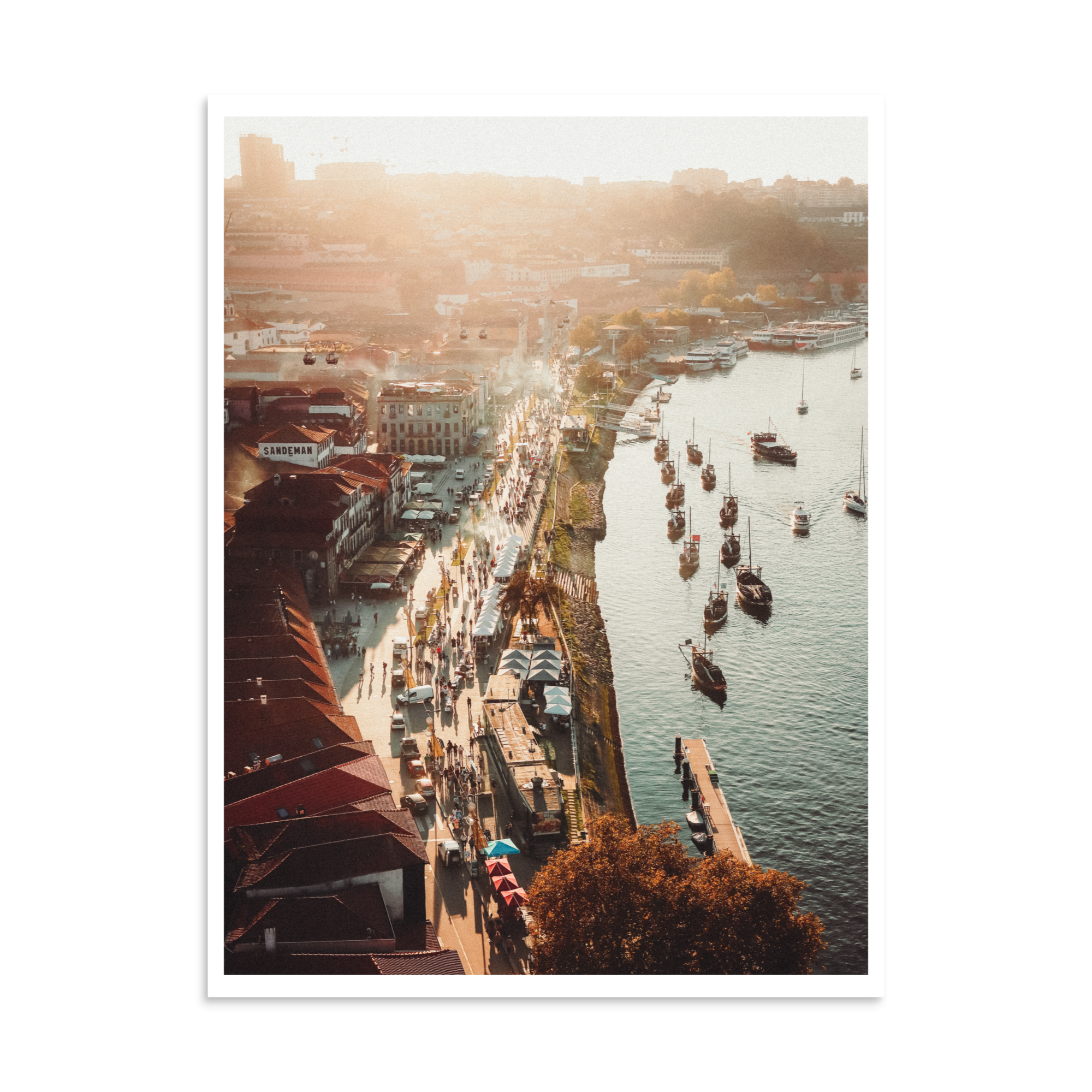Elevated view of Porto's Douro riverfront with boats on the river in warm late-afternoon sunlight.