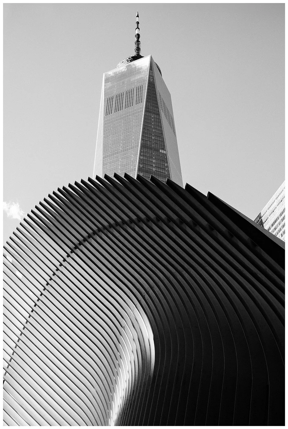 One World Trade Center rises above the sweeping ribs of the Oculus, where sharp verticals and sculptural curves meet in black and white.