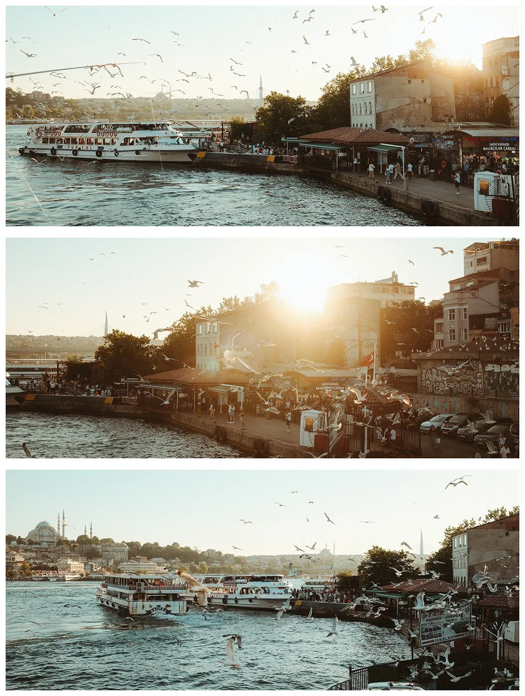 A triptych of Istanbul’s waterfront at sunset, with gulls circling above ferries and the shoreline glowing in warm evening light.