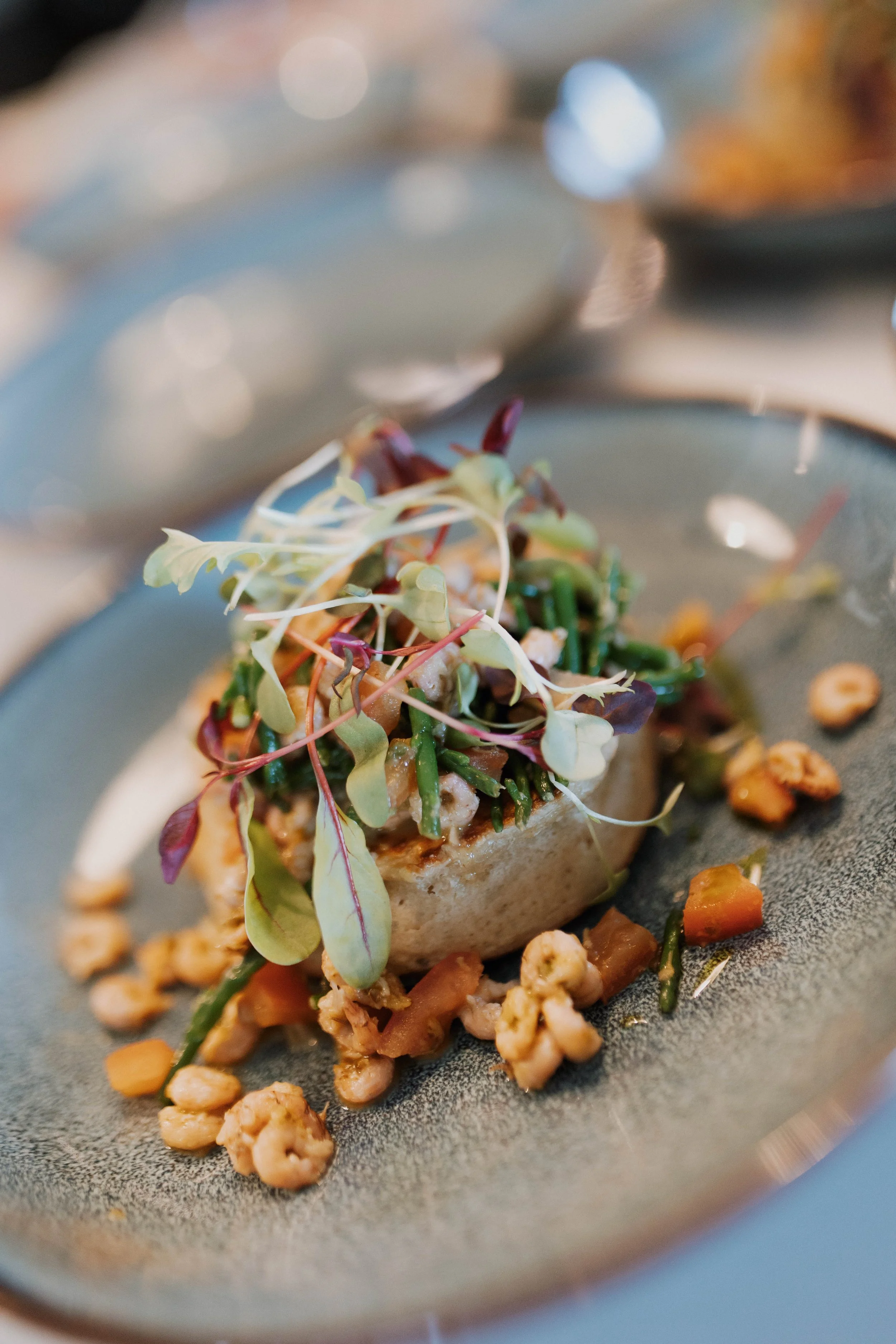Close-up of a gourmet dish with microgreens on top, served on a dark plate. The dish includes various diced vegetables and grains.
