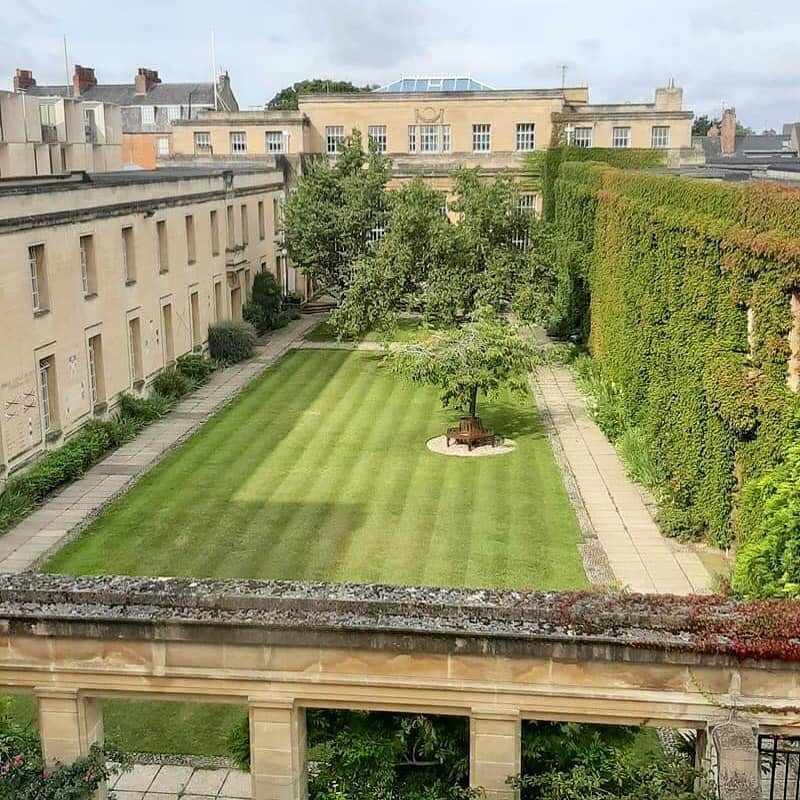 A green courtyard with a striped lawn, trees, a bench, and surrounding buildings and hedges.