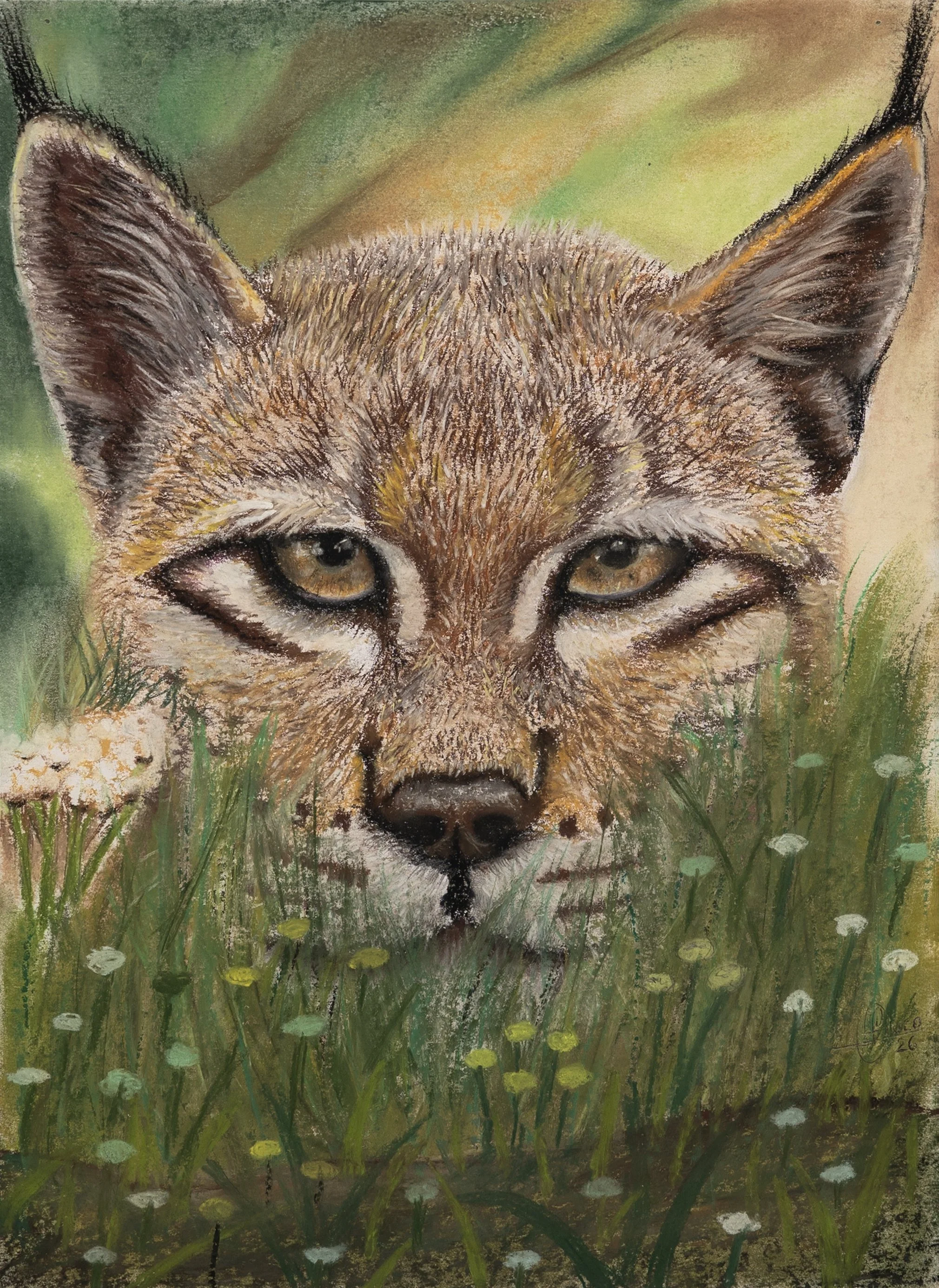 01_Cabeza de gato lince_30x42cm.tif.jpg