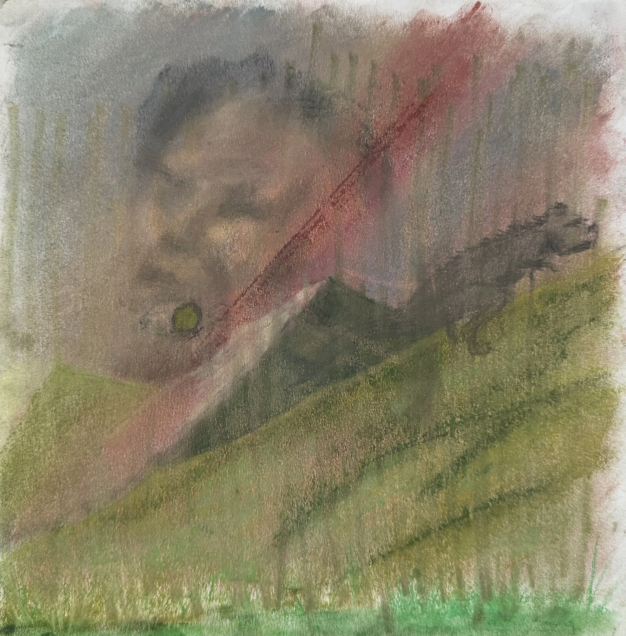 74_Paisaje, dino, Rostros_25x25cm.jpg.jpg