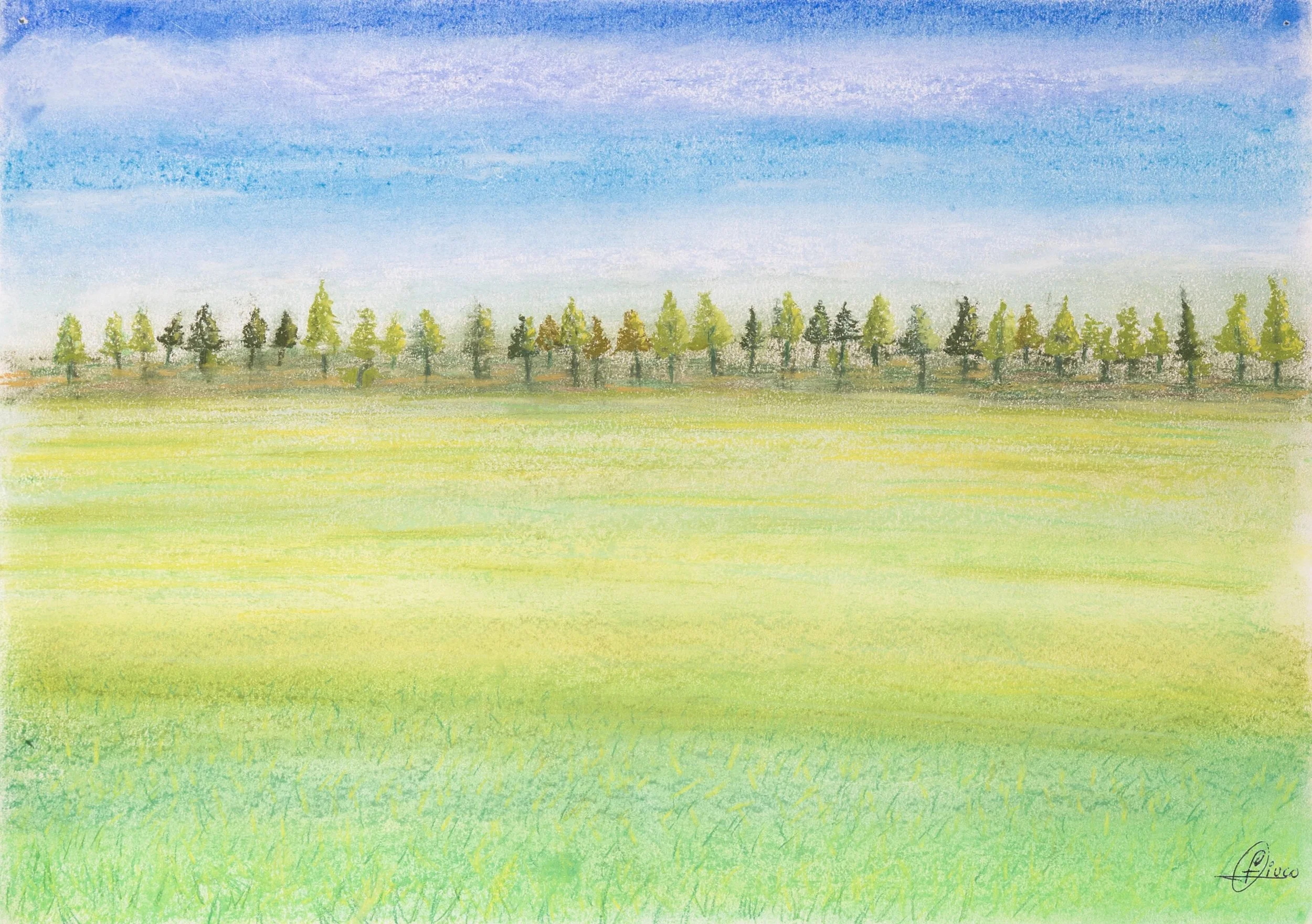 53_Paisaje campo abierto_42x30.psd.jpg