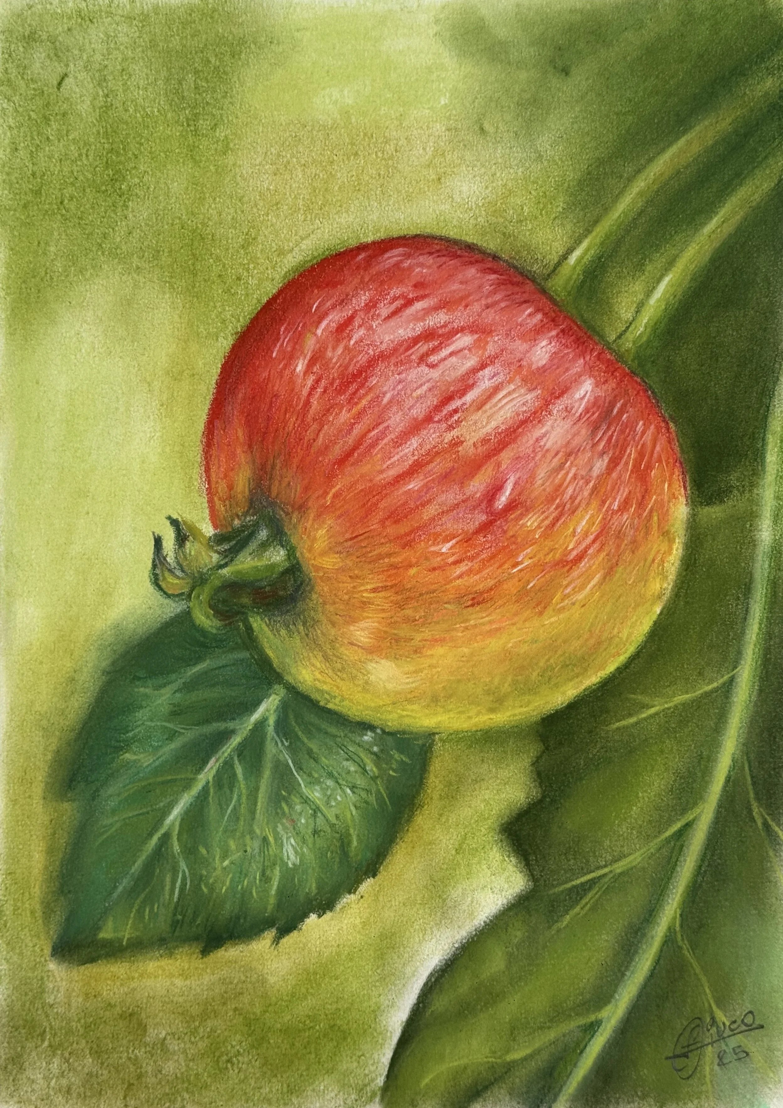 86_Manzana de otras hojas_30x21cm.jpg.jpg