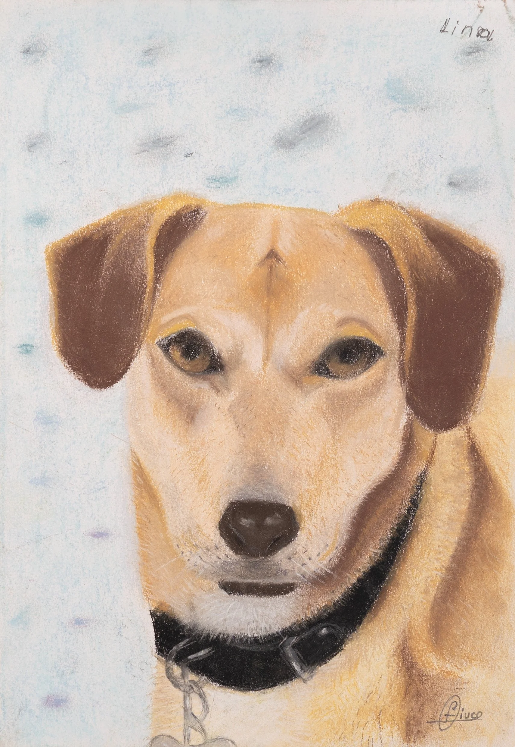 35_Mascota lina_30x21.tif.jpg