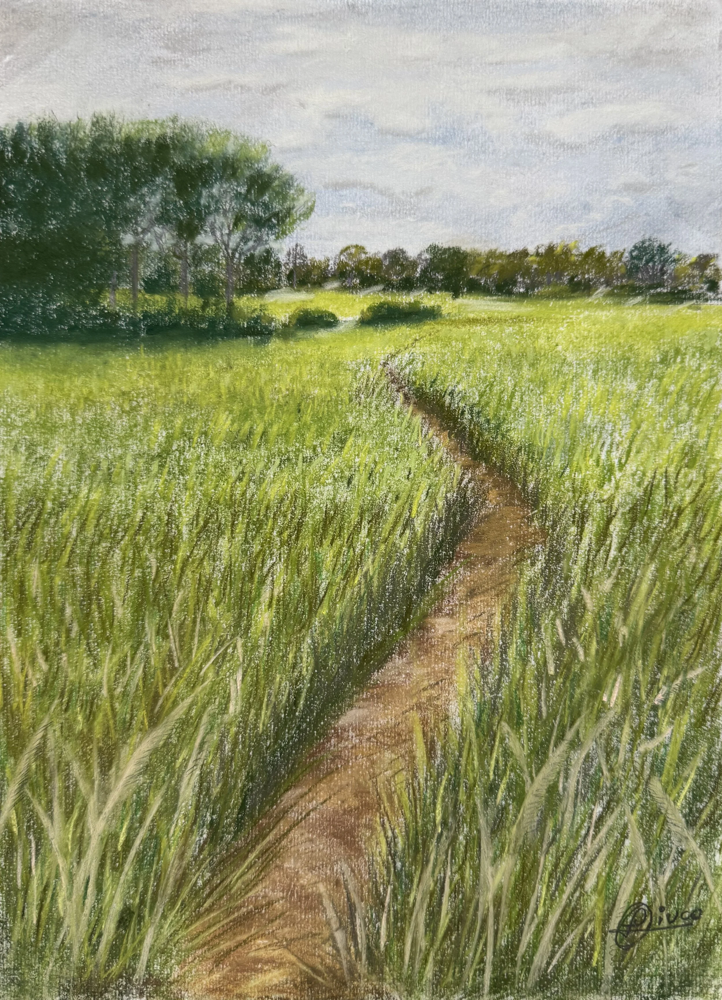 85_Paisaje camino entre espigas_29cm.jpg.jpg