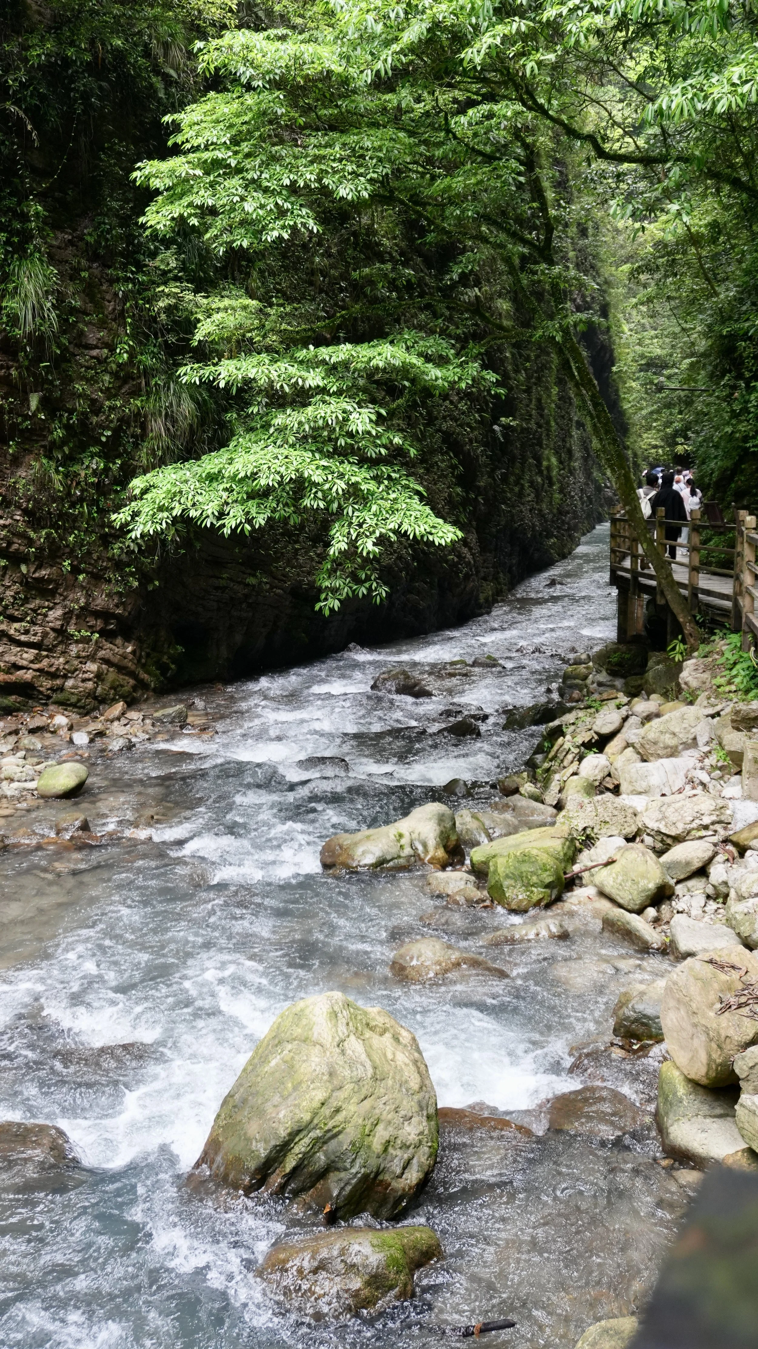 DSC02046.JPG