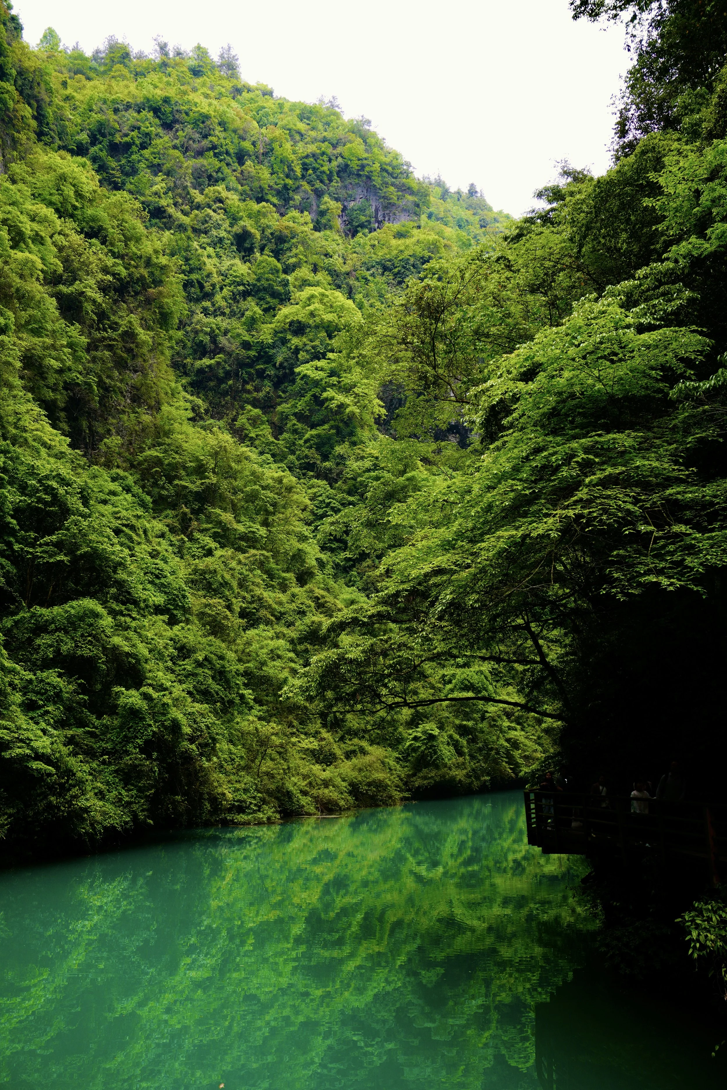 DSC02063.JPG