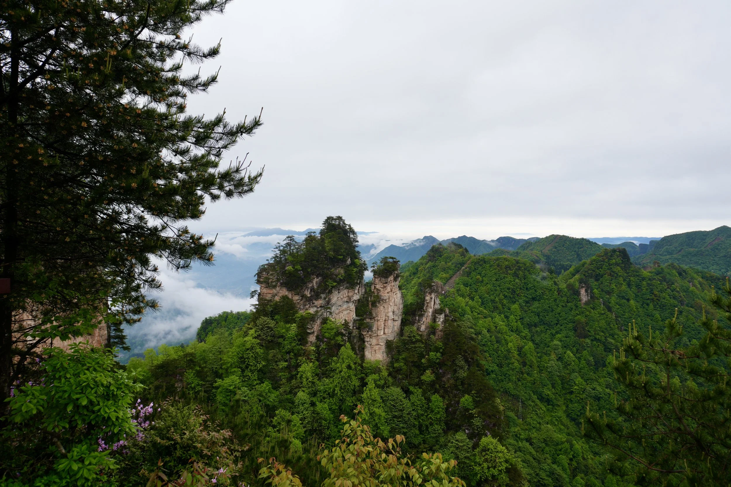 DSC02095.JPG