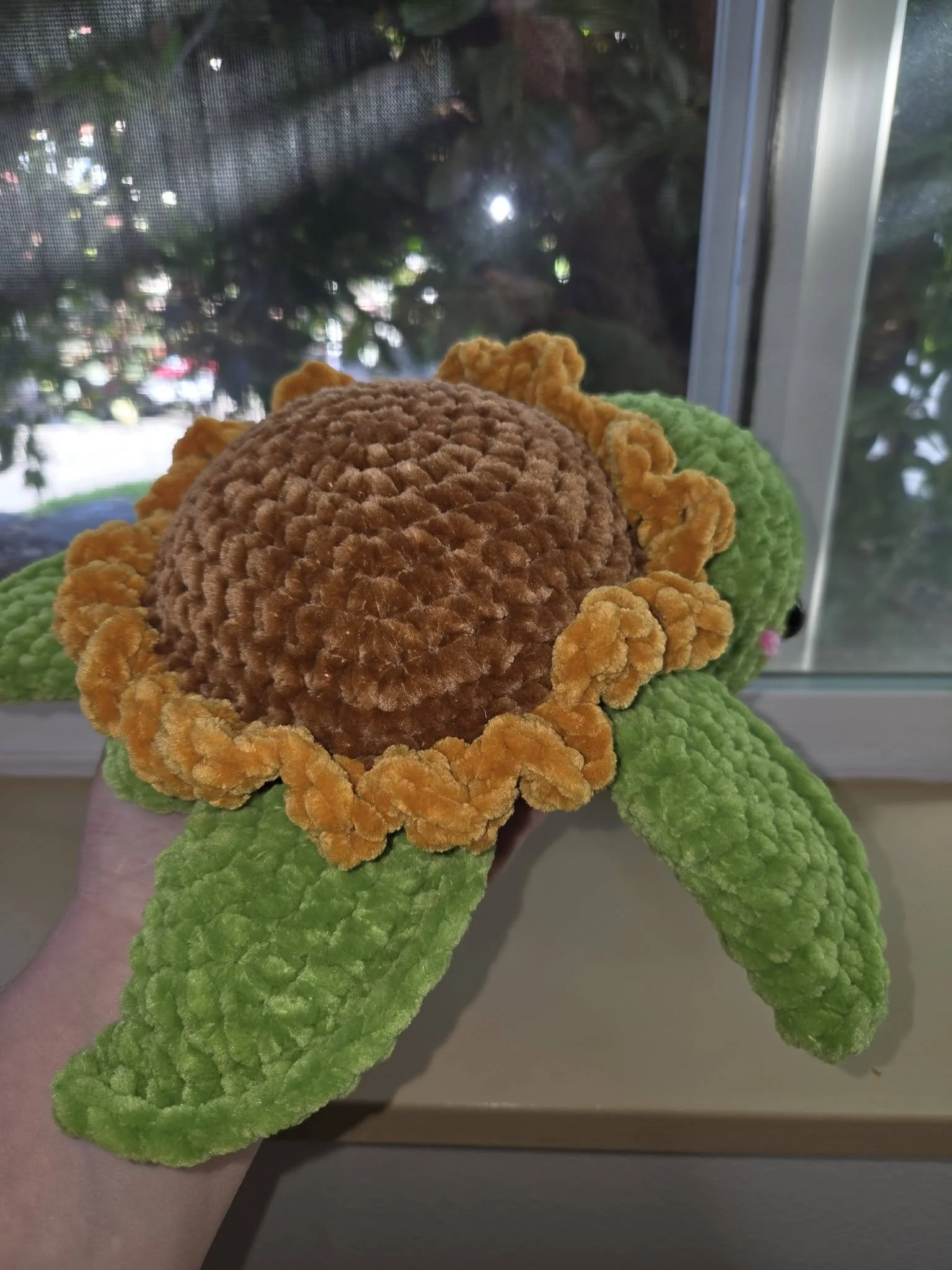 Sunflower Turtle