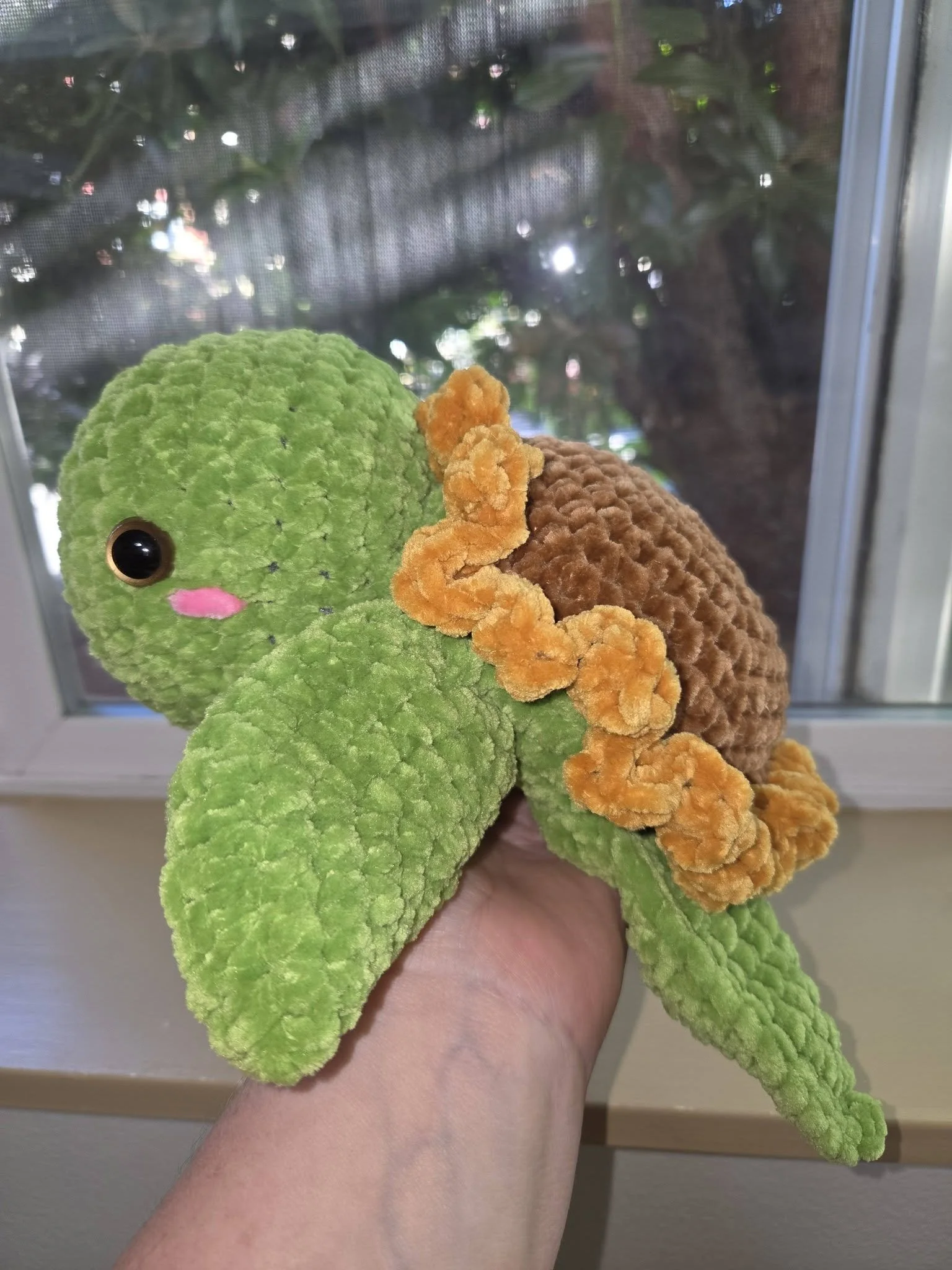 sunflower turtle 2.jpg