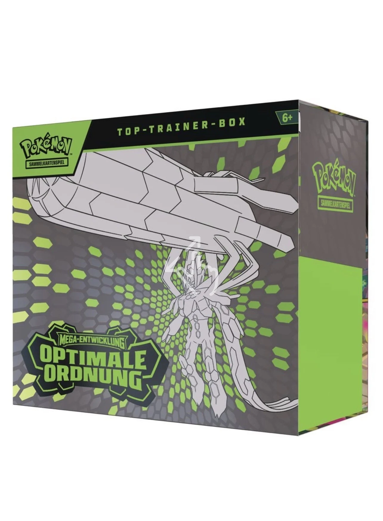 Top-Trainer-Box: Optimale Ordnung
