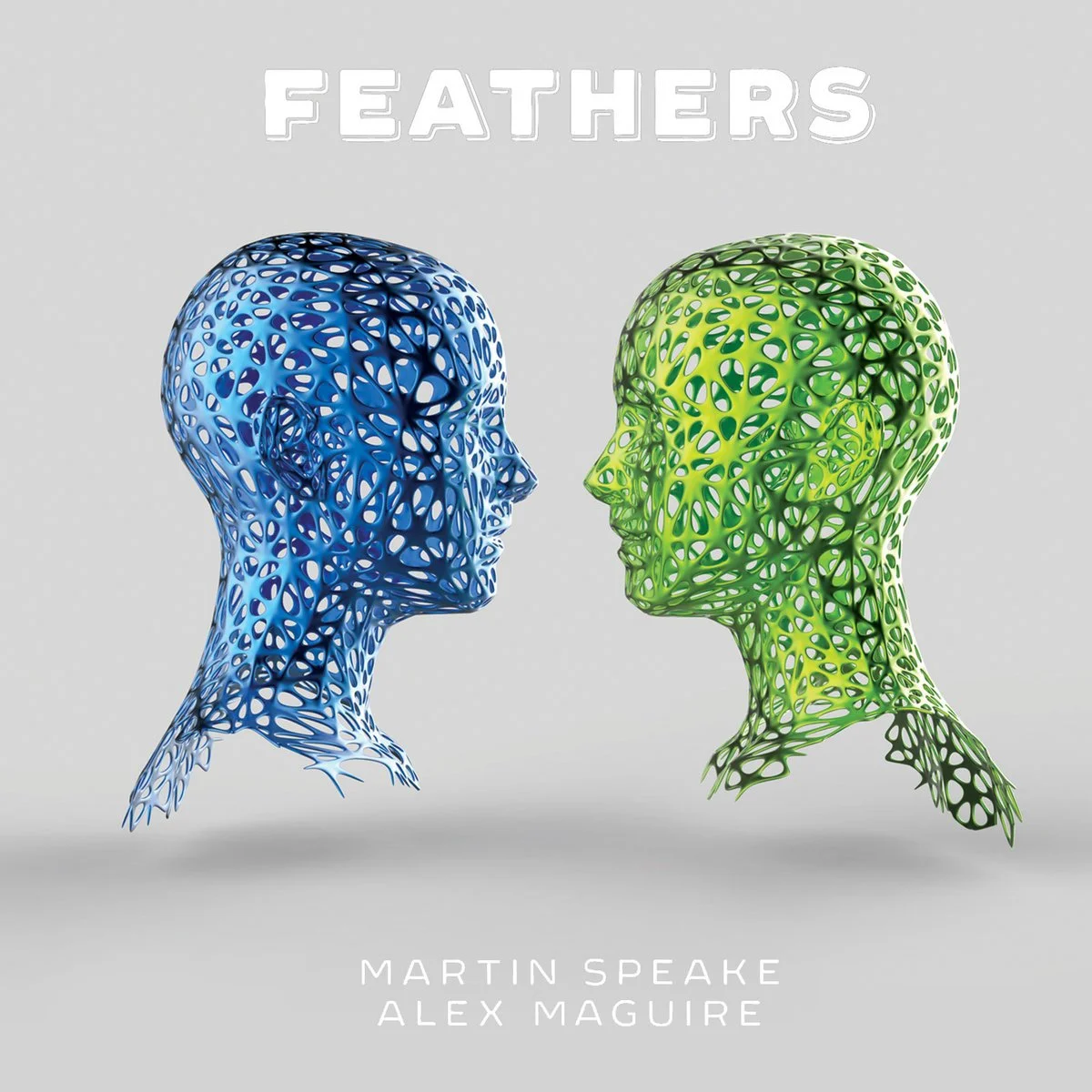 Feathers CD cover