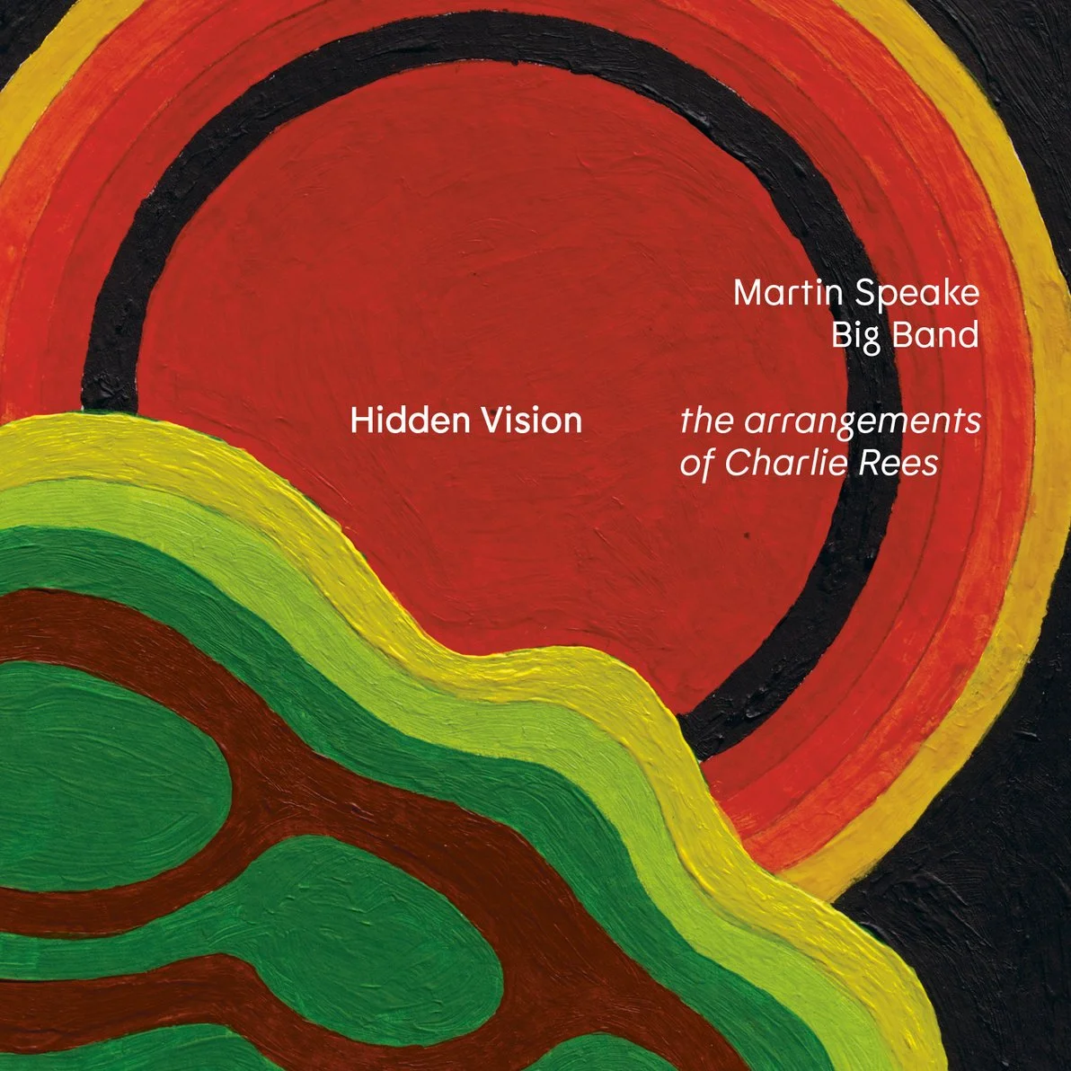 Hidden Vision LP