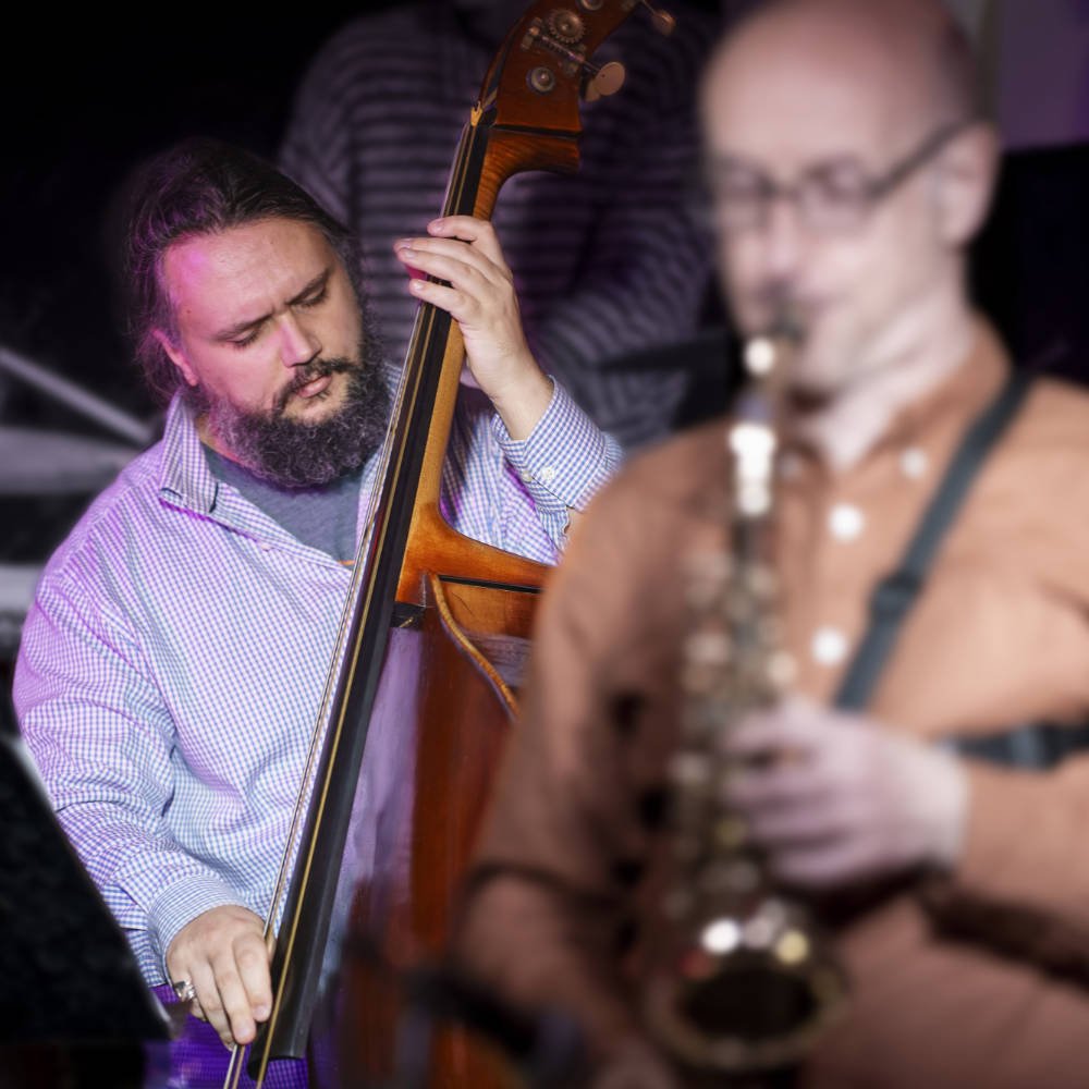 Matt Ridley Double Bass