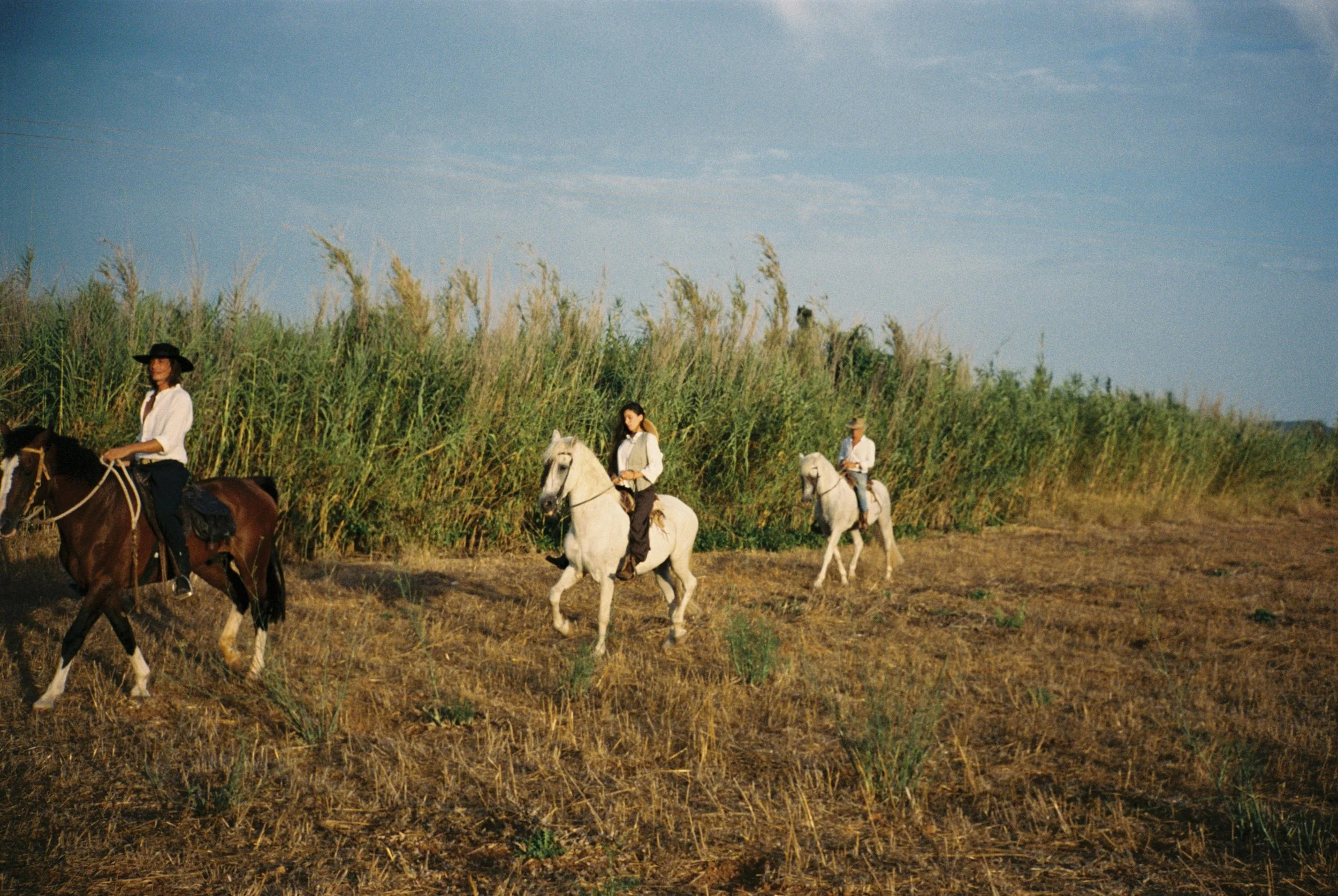 000033-6.jpg