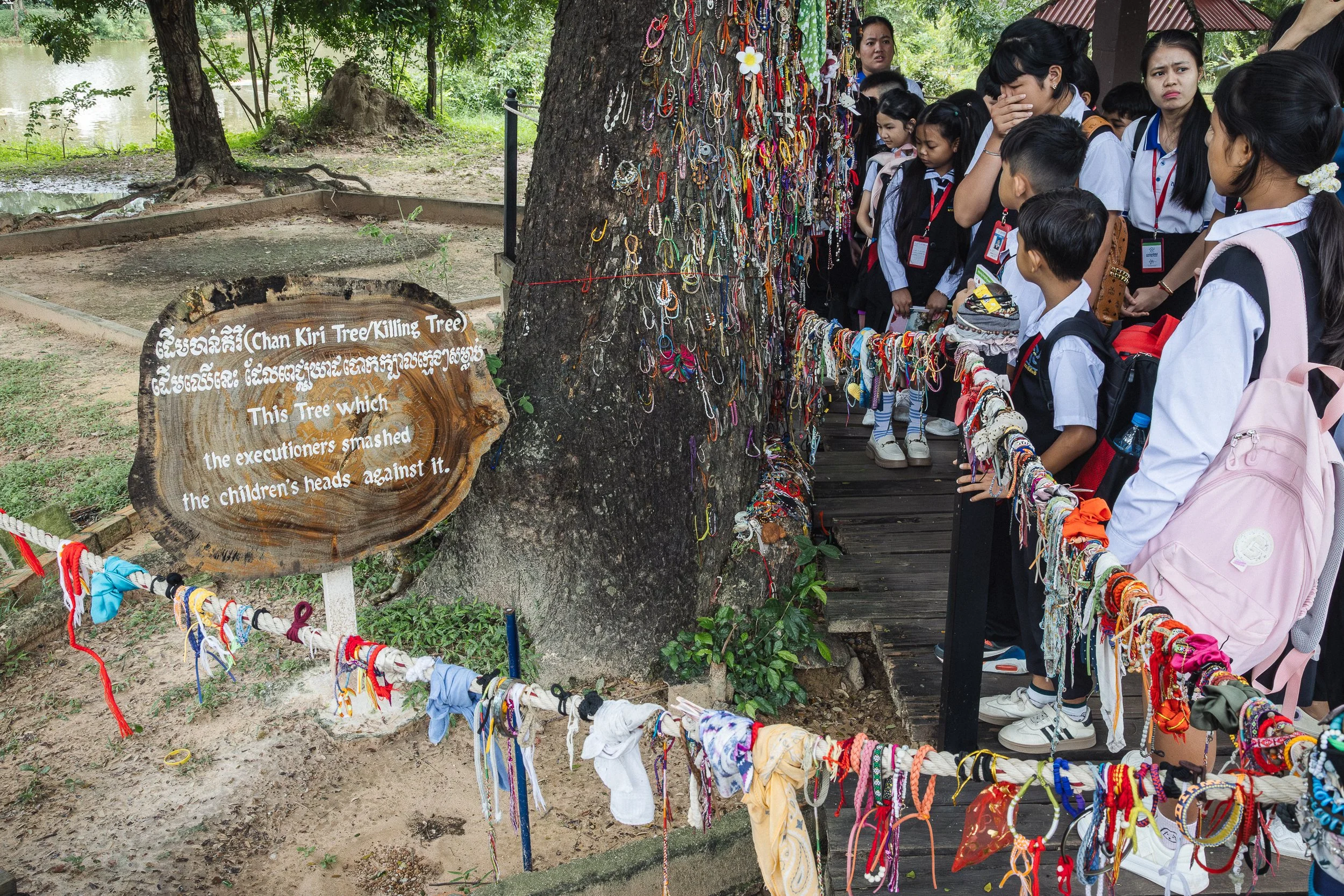 tied ribbons at the killing tree in Choeung Ek, Cambodia