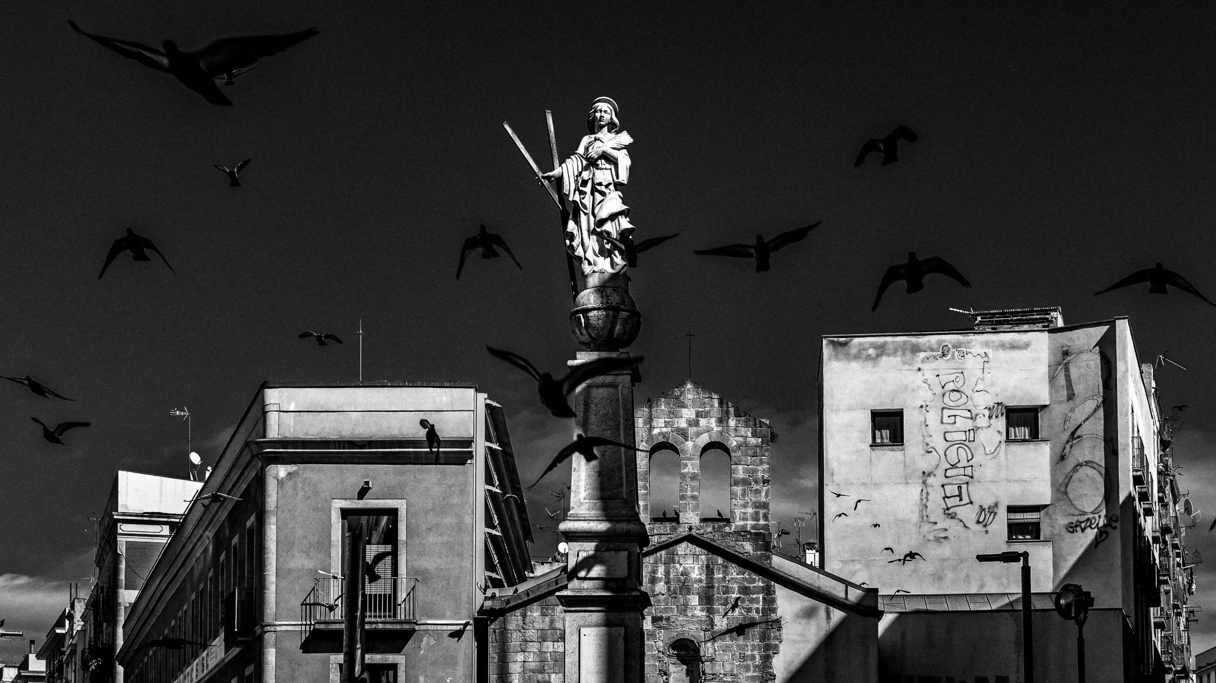 Even the birds couldn't agree on a direction. Barcelona, Spain. 2026.