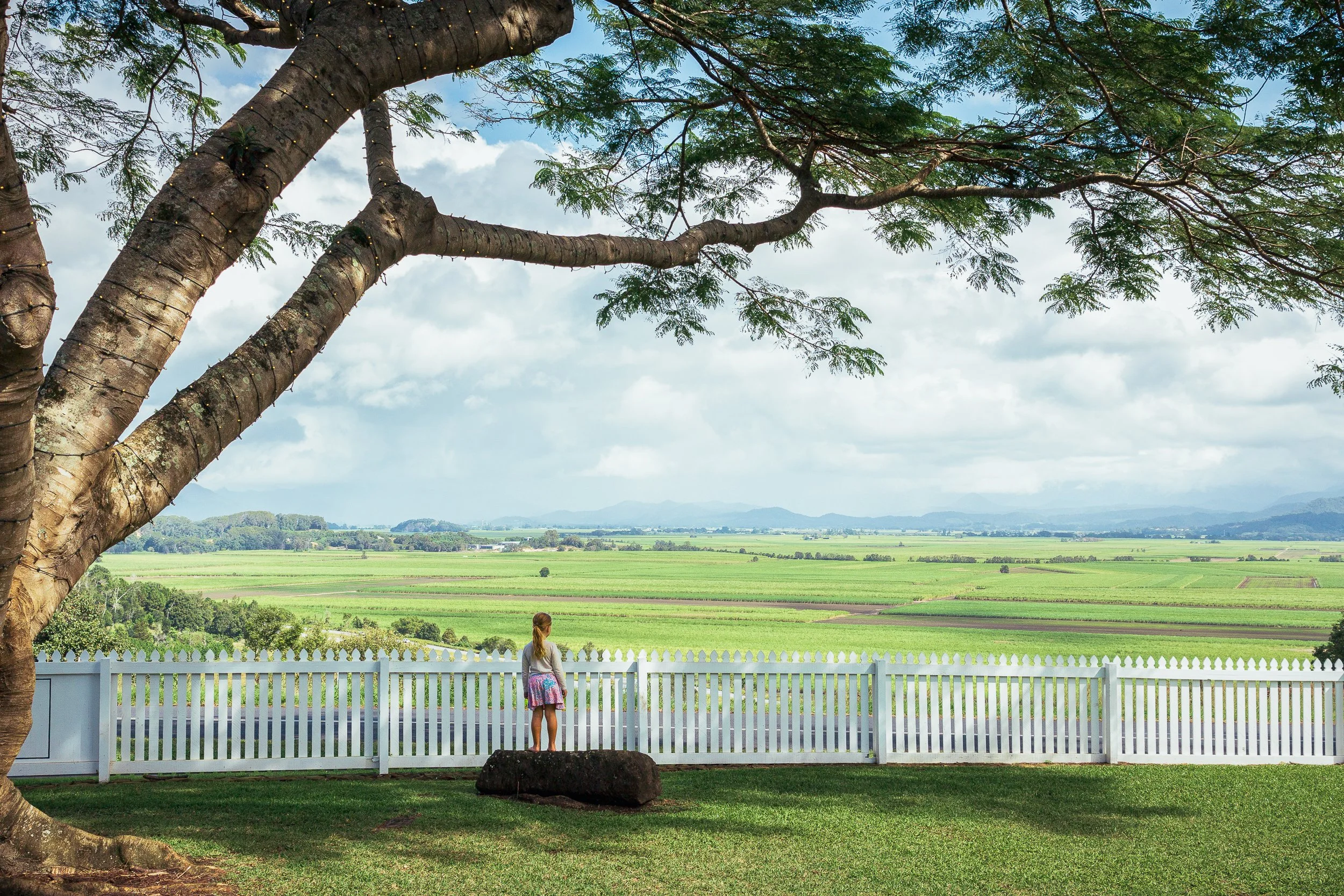 The fence was built to keep something out. She just wanted to see over it. Tweed Bay, Australia. 2025.