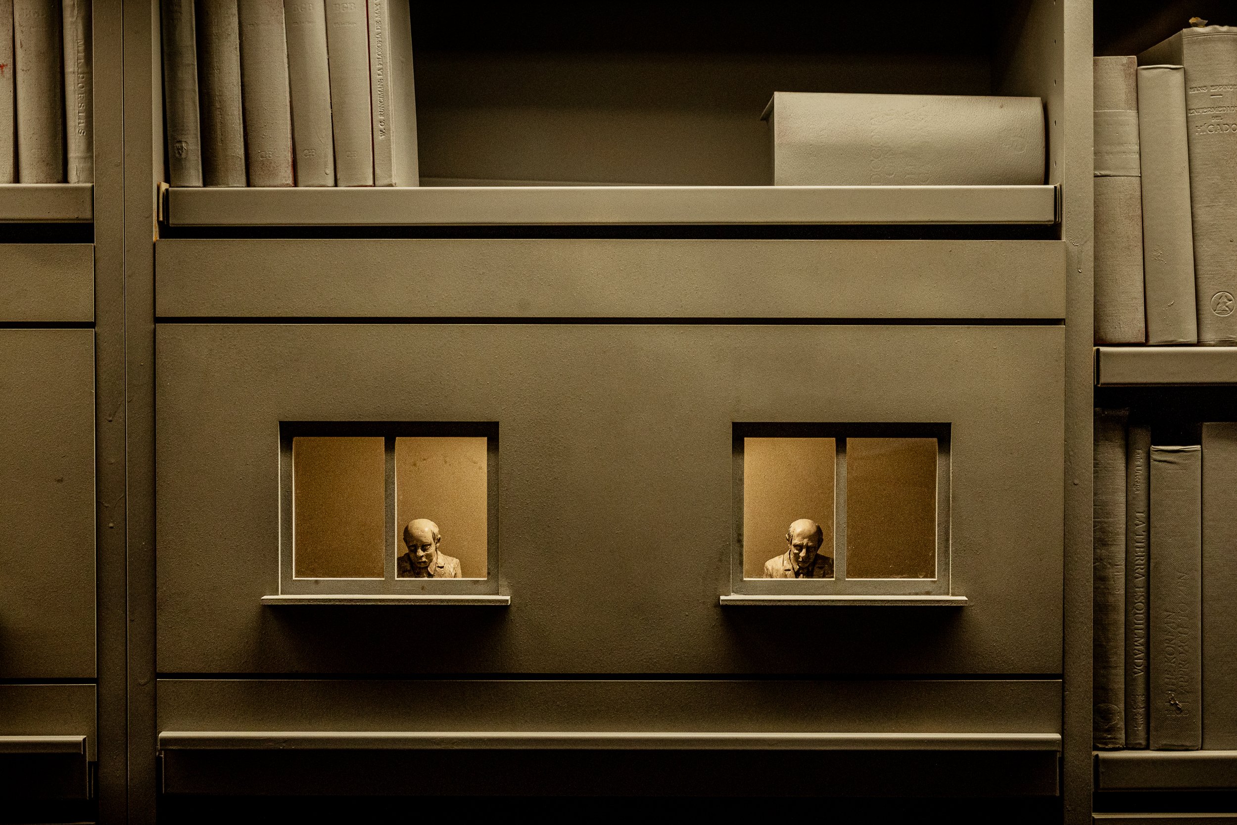 Two stone busts installed in recessed niches within the shelving, surrounded by old books on either side.