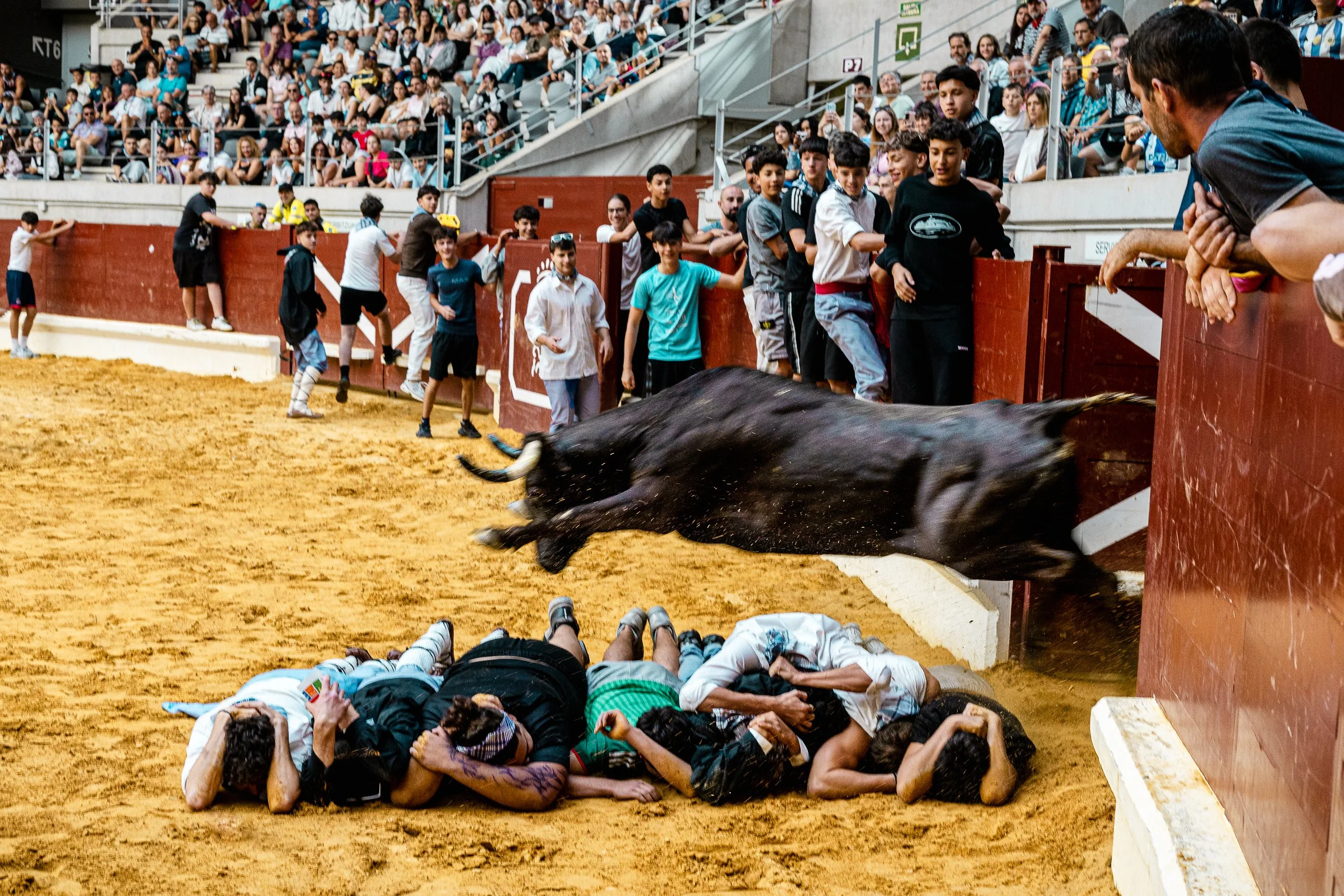 Nobody agreed on a plan. Everyone chose the same one anyway. — Vitoria-Gasteiz, Spain. 2026.