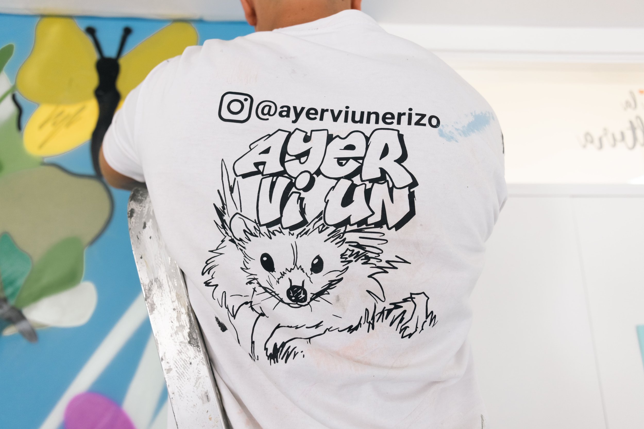 luischausa - Ayervi Tacoronte 07.jpg