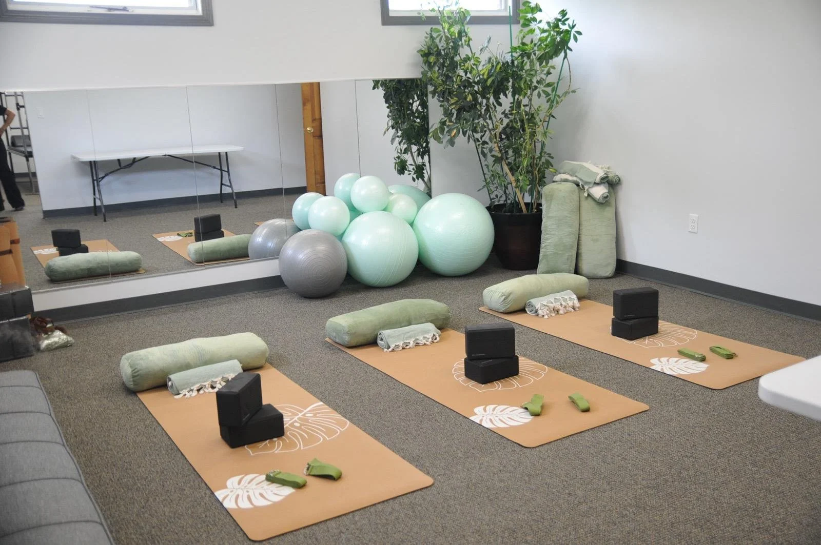 Yoga mats, bolsters, small weights, fitness balls, and exercise blocks arranged in a fitness studio with a mirror, potted plant, and windows.