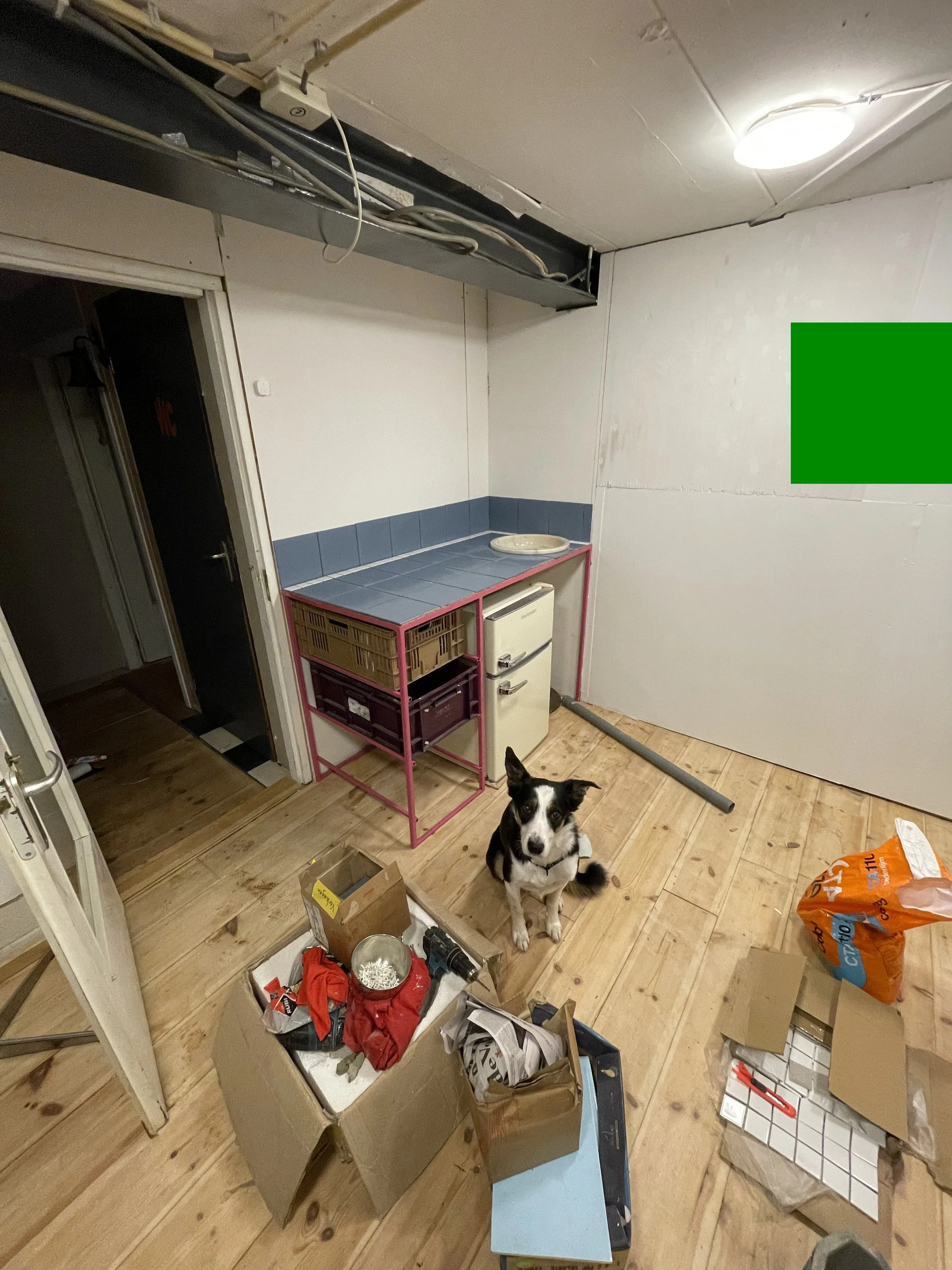 Een kamer met een houten vloer, vol afval, dozen en verpakkingen. Er staat een hond in het midden van de kamer en er is een kastje met dozen en een tafel. De kamer lijkt in de rechterhoek af te wereken of te renoveren.