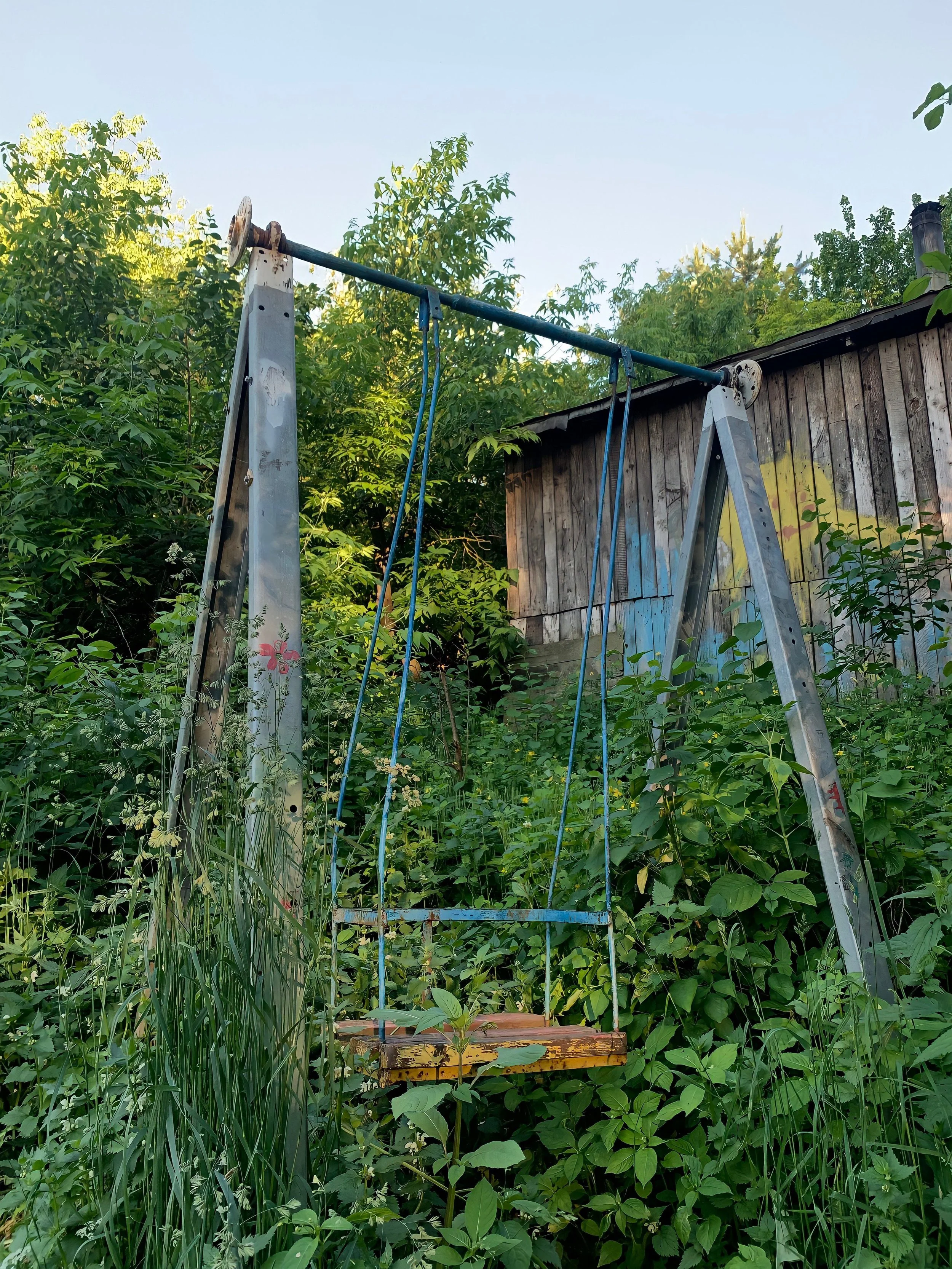 Old metal swing set with blue ropes in a lush green backyard overgrown with plants and bushes, next to a weathered wooden shed, under a clear blue sky.