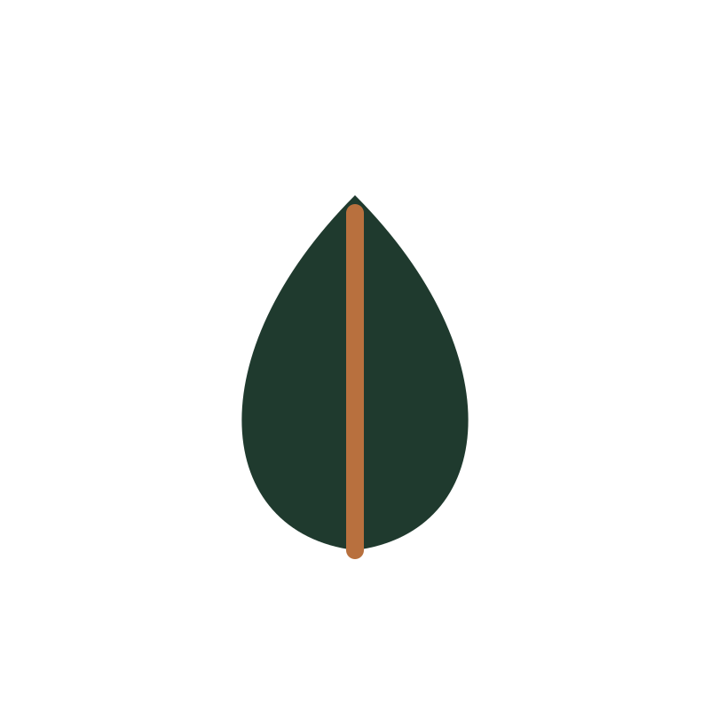 Garden Clearance