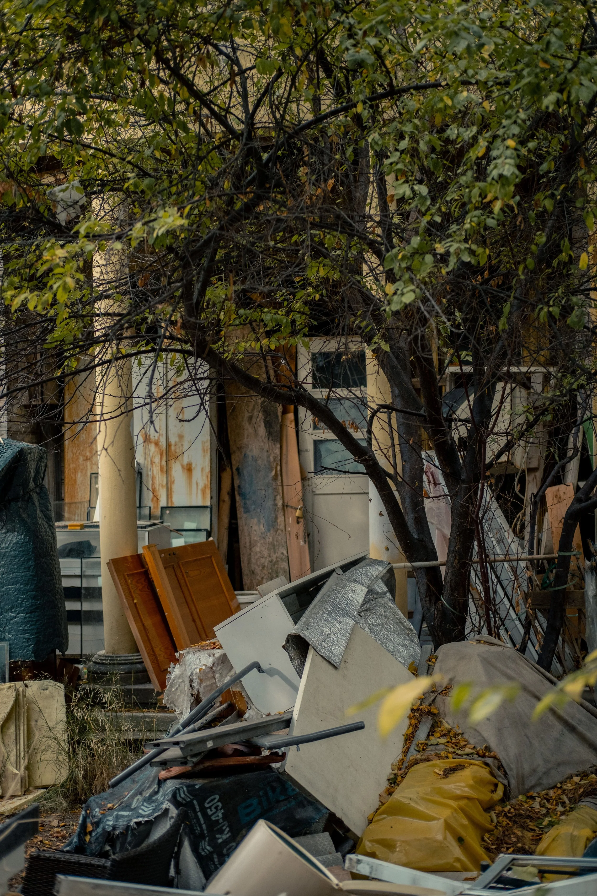 A cluttered yard with various debris, including broken furniture, plastic bags, and discarded household items scattered around a tree with green leaves.