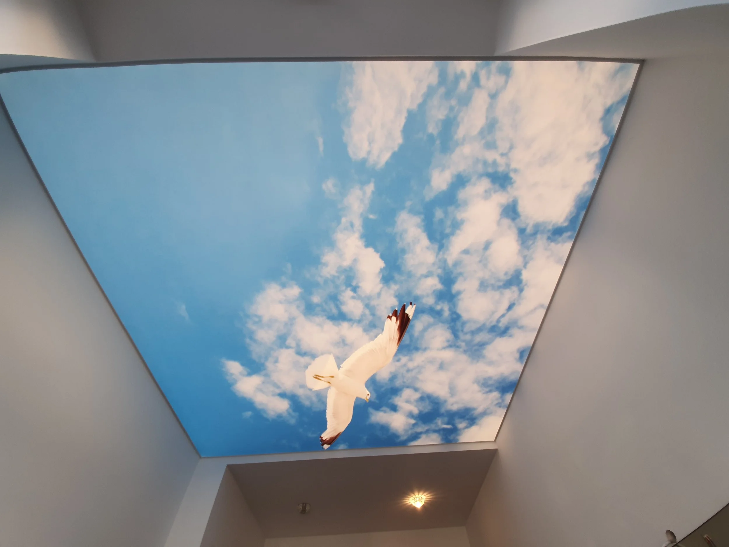 Ein weißer Vogel fliegt vor einem blauen Himmel mit Wolken durch ein rechteckiges Fenster im Dach eines Gebäudes.