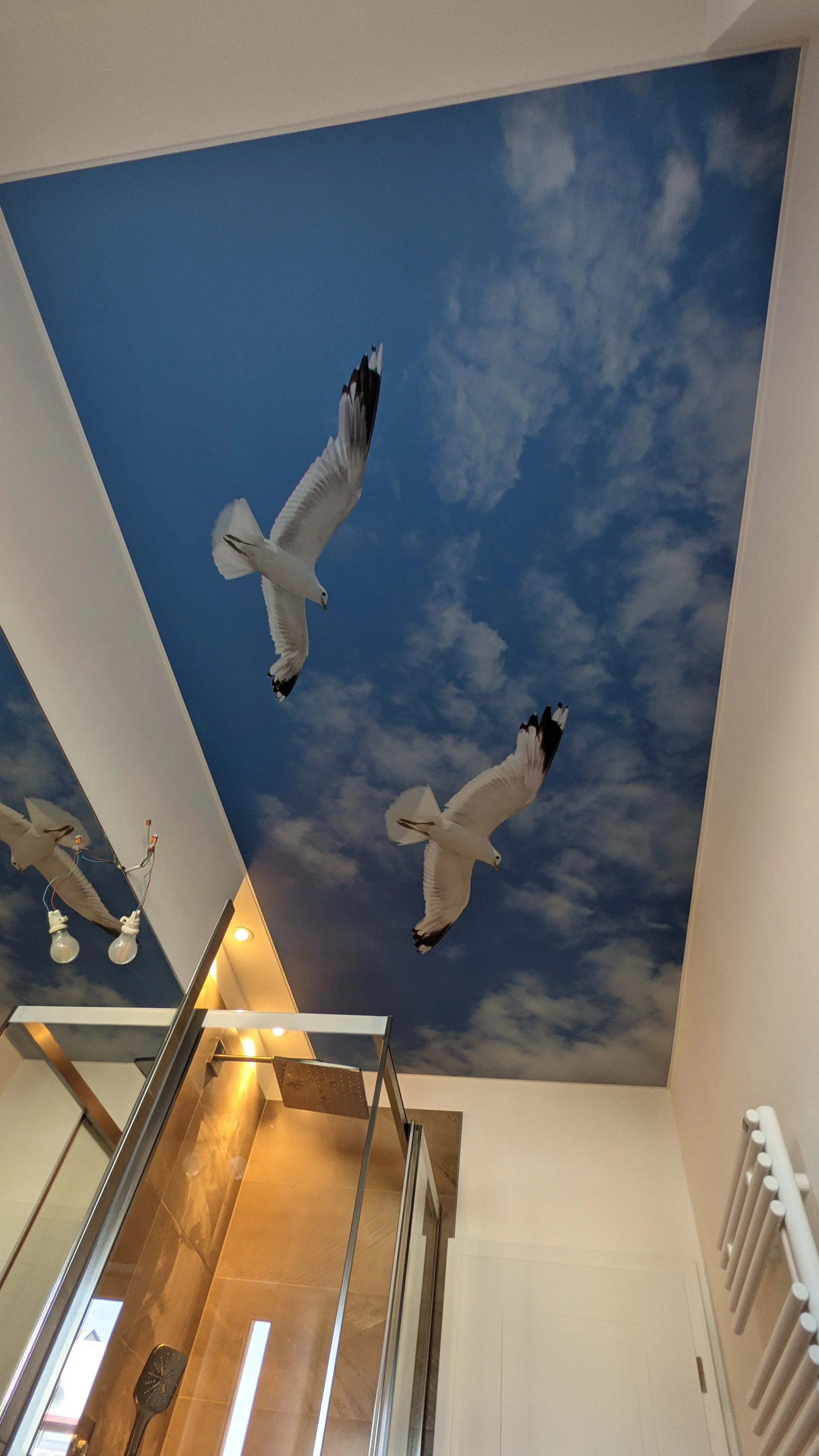 Decke mit Himmel- und Möwenmotiv, Badezimmer mit Dusche und Spiegel, weiße Wand, Heizkörper an der Wand.