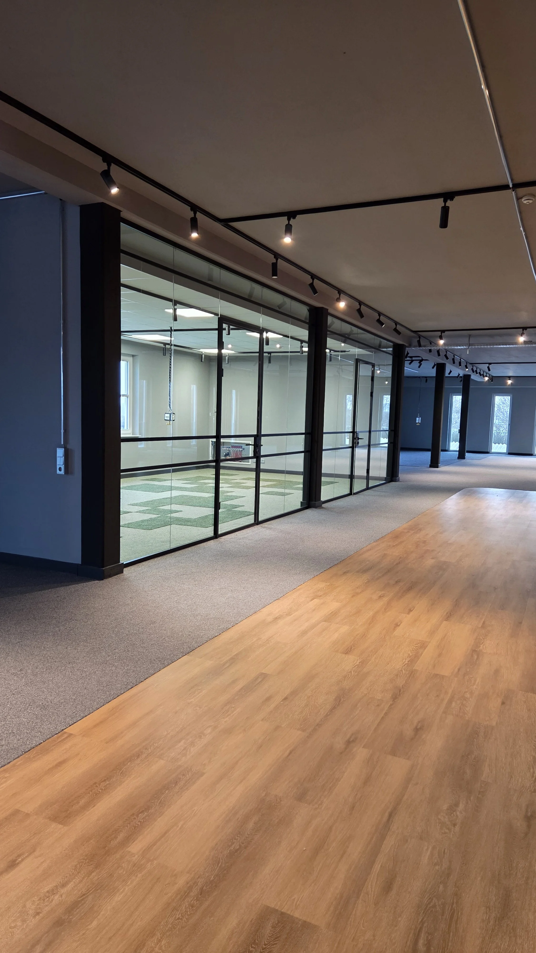 Innenraum eines modernen, offenen Büroraums mit Glastüren, Holz- und Teppichboden, Decken-Trackbeleuchtung und großen Fenstern