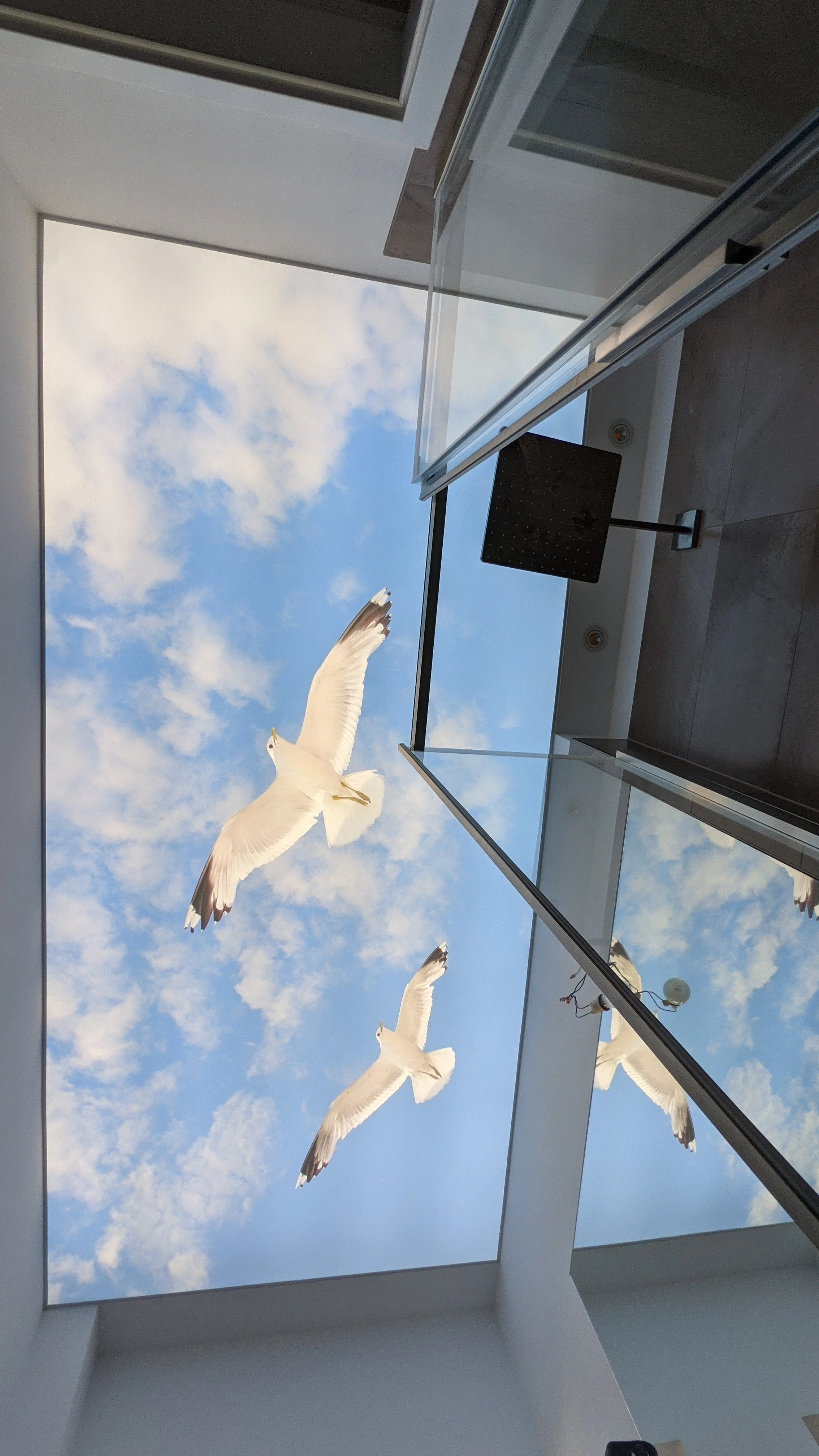 Blick nach oben auf eine große Fensterdecke mit fliegenden weißen Möwen vor einem blauen Himmel mit Wolken.