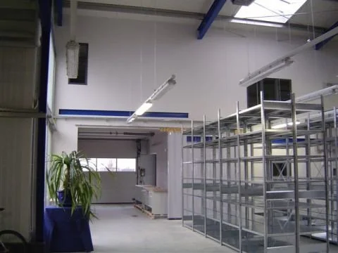 Ein leeres Lager- oder Produktionsraum mit Metallregalen, einer Pflanze auf einem Tisch und großen Fenstern.