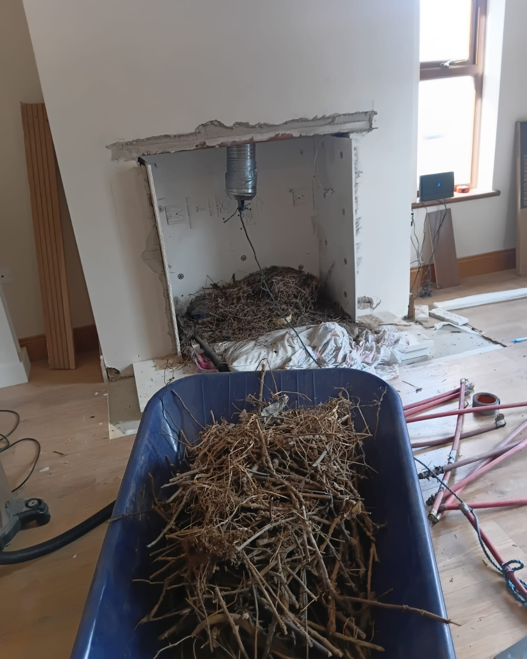 Room under renovation with a hole in the wall, exposed ducts, and debris, including a blue wheelbarrow filled with twigs and branches in the foreground.
