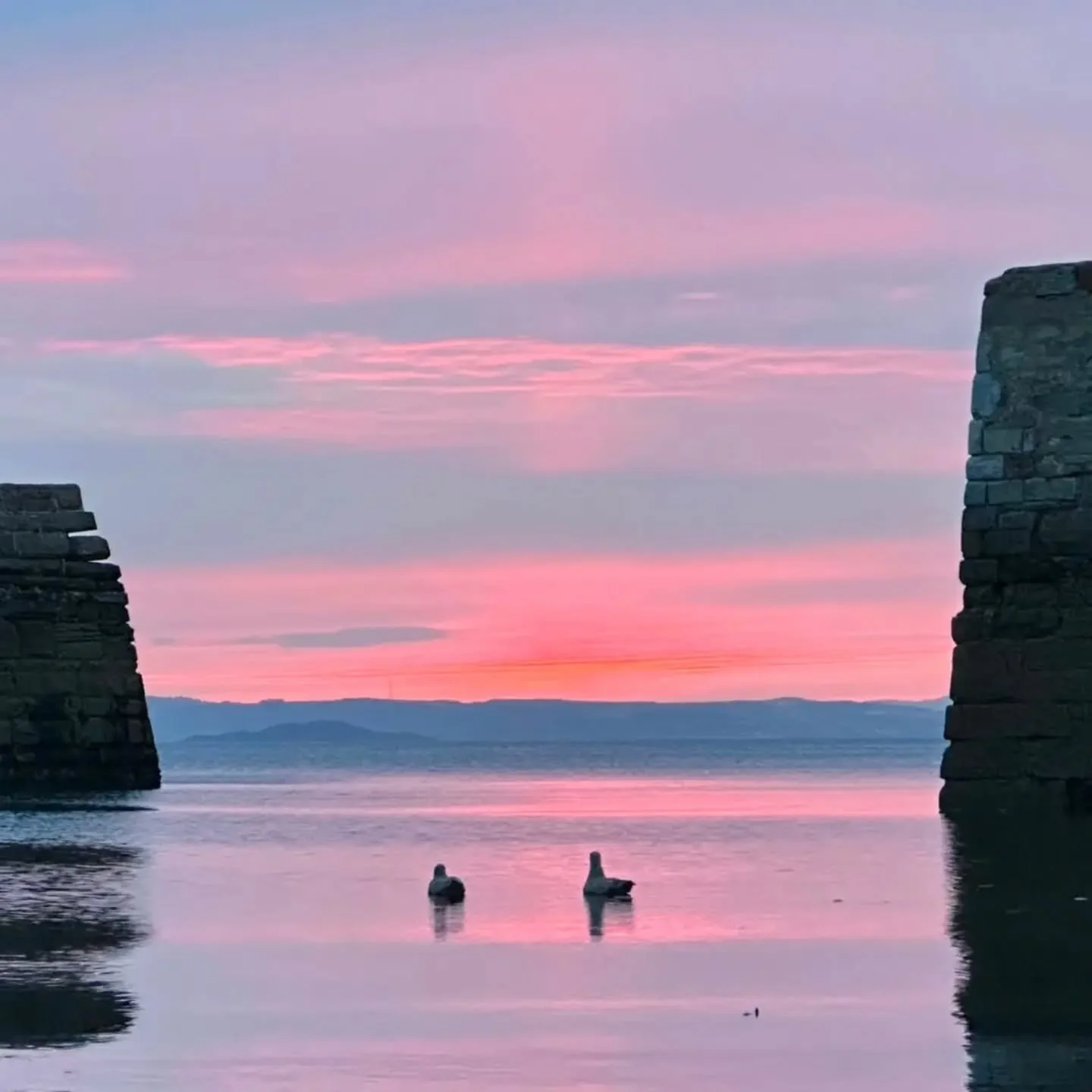 It's National Relaxation Day on Saturday and we think it's the perfect excuse to take a proper pause.

Because being productive isn't about being switched on every second of the day. Sometimes the best thing you can do is, step away from your screen,