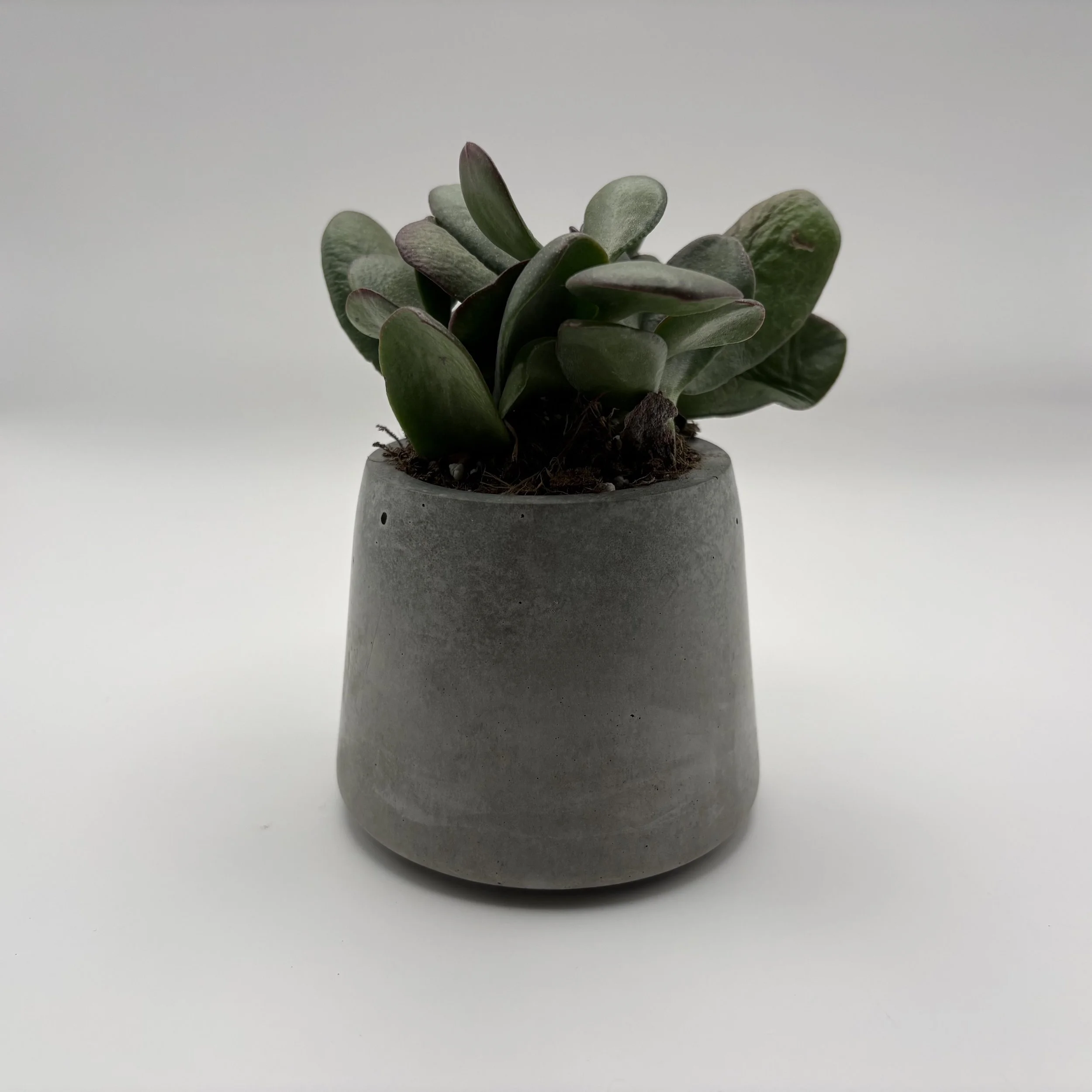 Concrete Tapered Pot